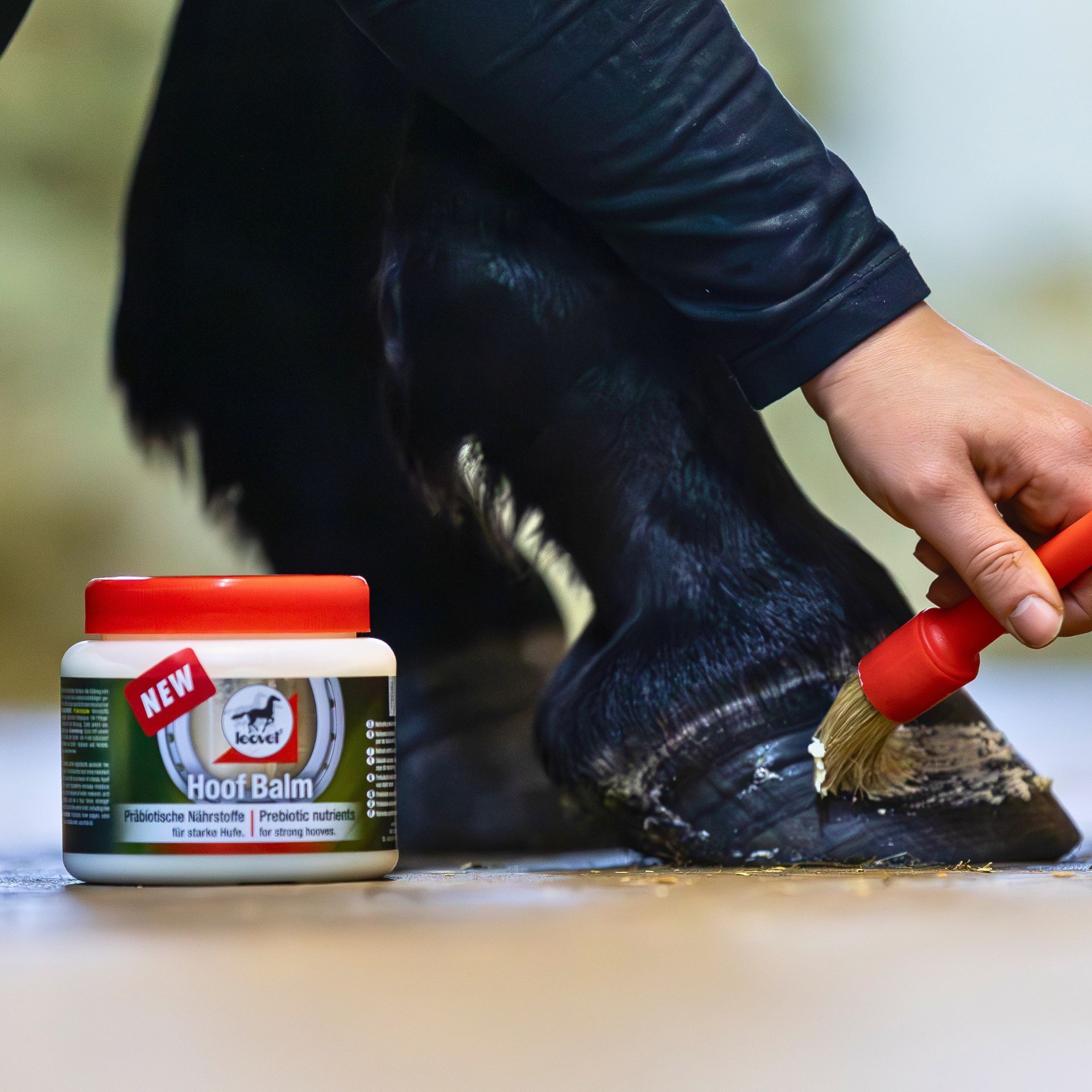 Hufbalsam, Pferdepflege, Hufpflege, schwarz, Grooming-Produkt