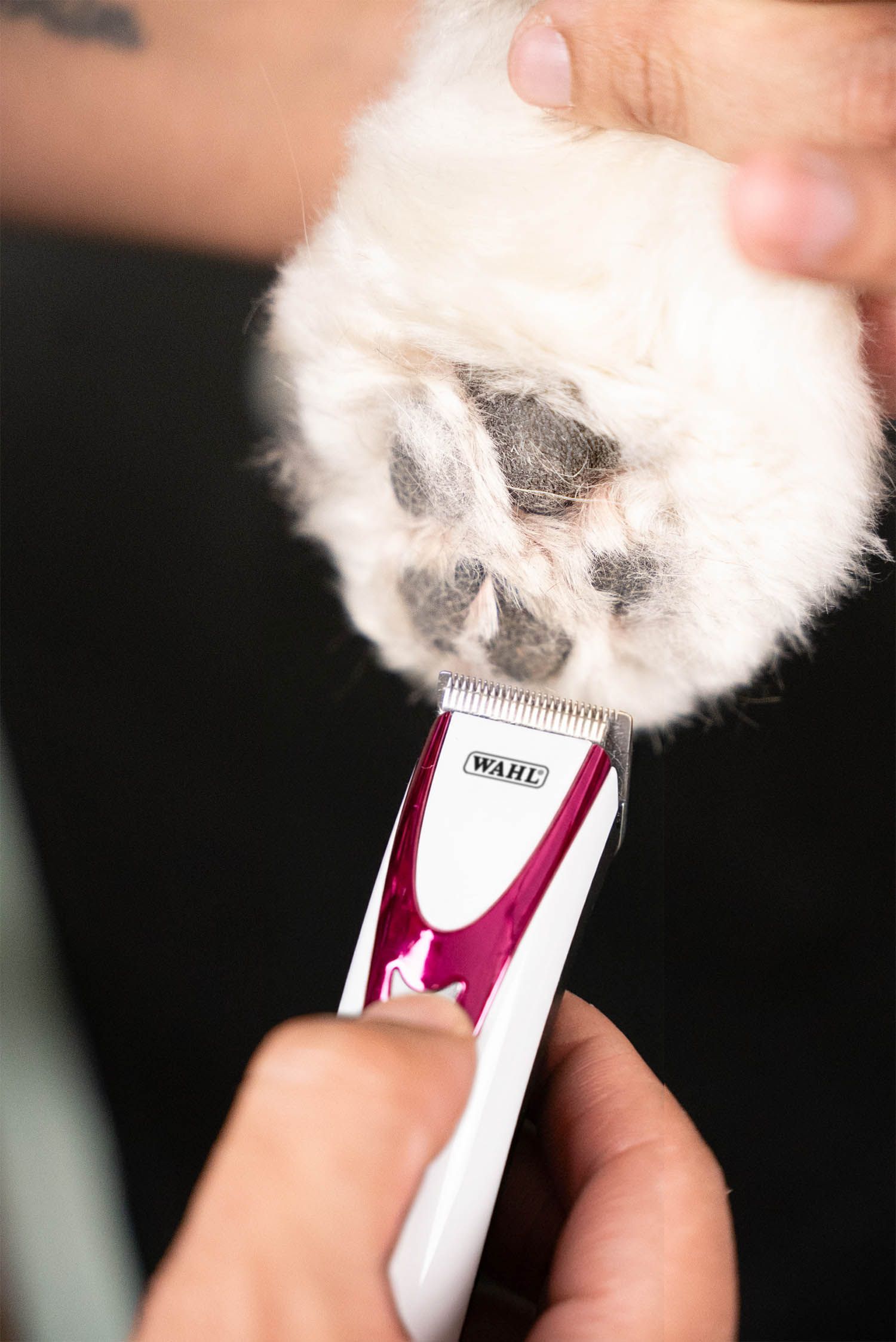 WAHL Fidela Pro pälstrimmer