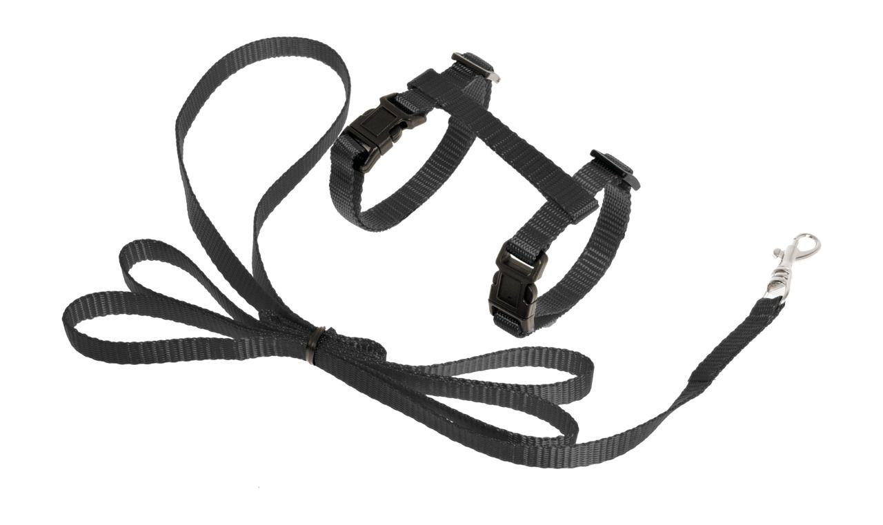 ART SPORTIV HARNESS+LEASH black, 10mm,LEASH 120cm