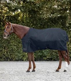 Fuchspferd mit dunkler Regendecke steht auf einem Reitplatz vor grüner Hecke