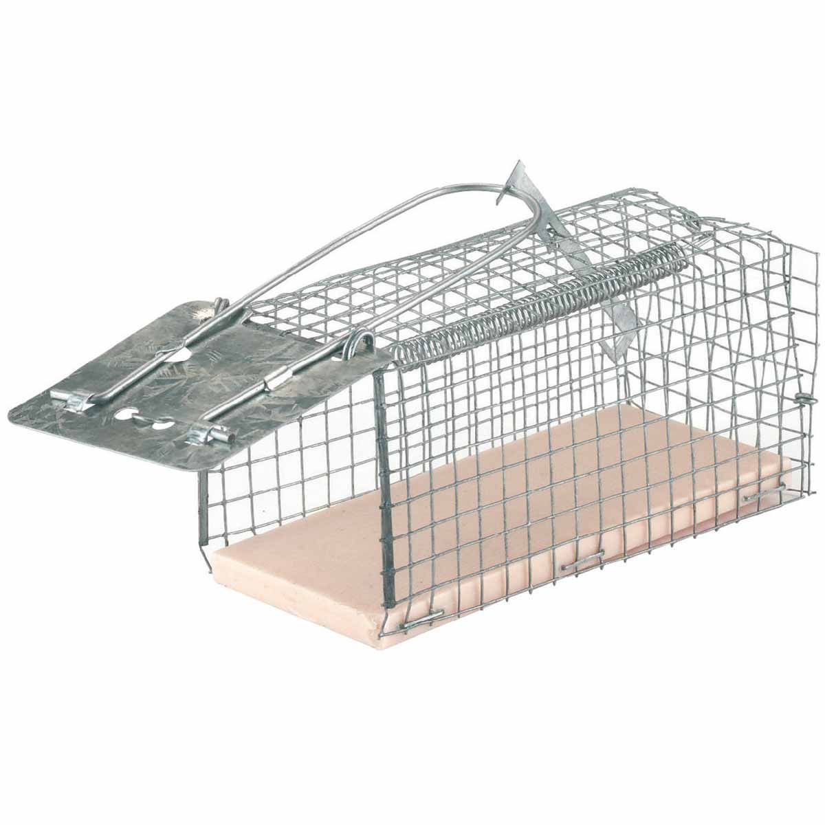 Cage métallique de capture de souris