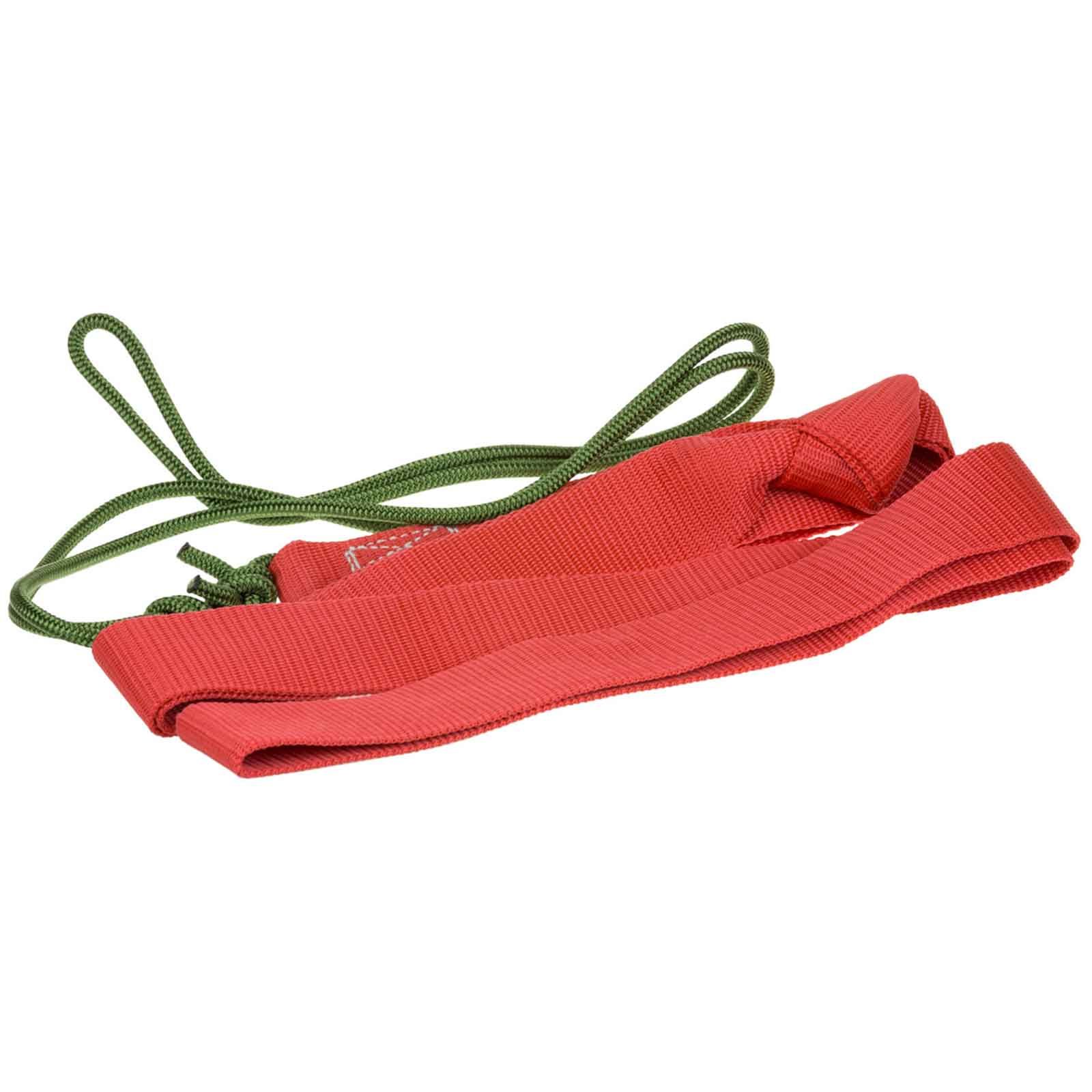 Wildbergehilfe Mufflon