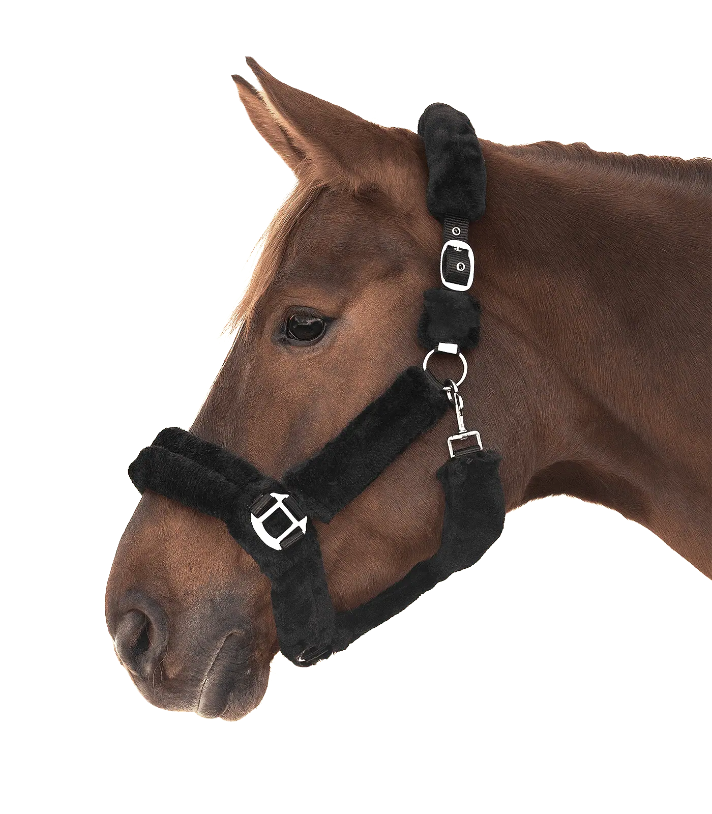 Licol Cozy Waldhausen, licol sangle en fausse fourrure douce, noir/argent, COB