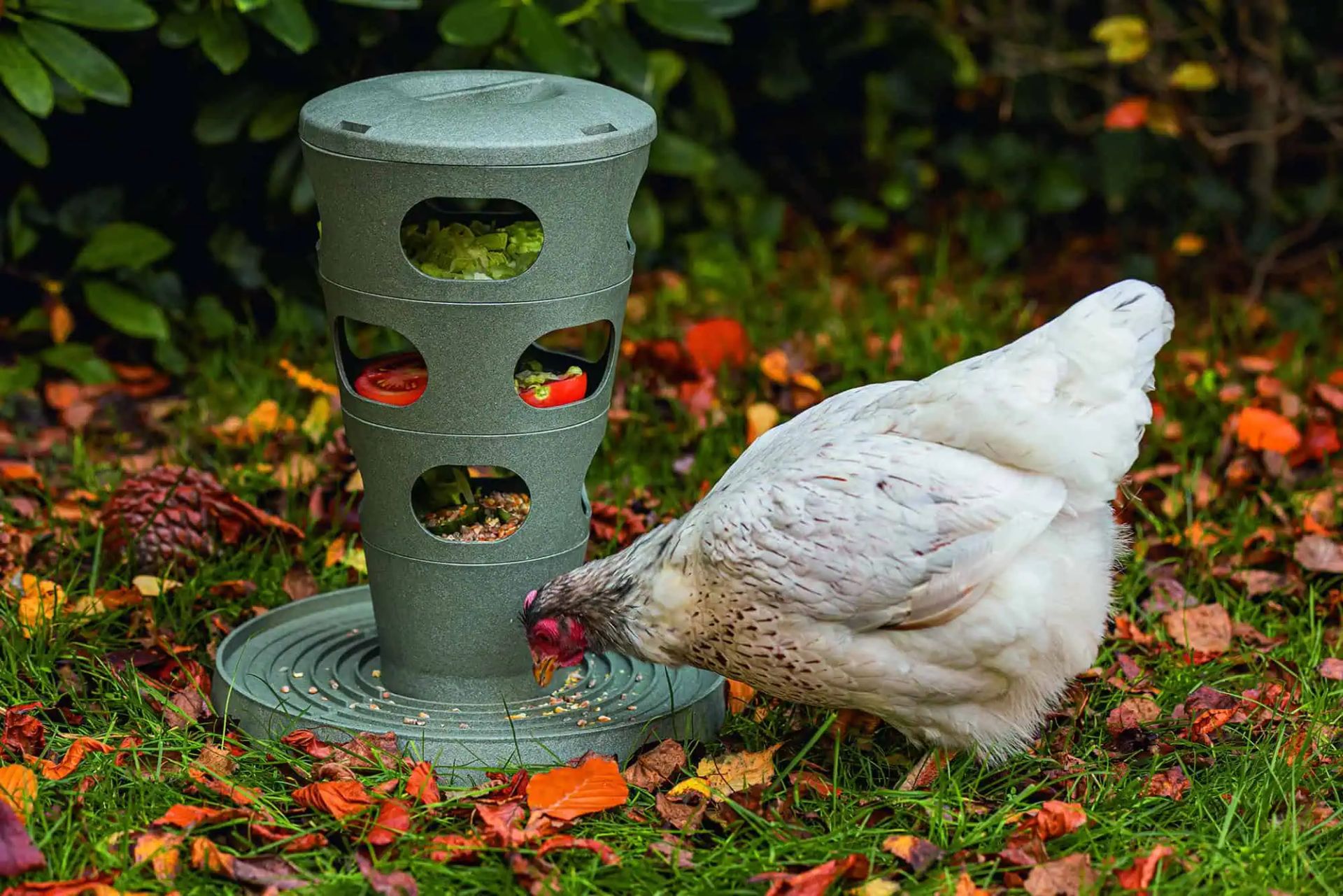 Beeztees Chicken Feed Tower, in use