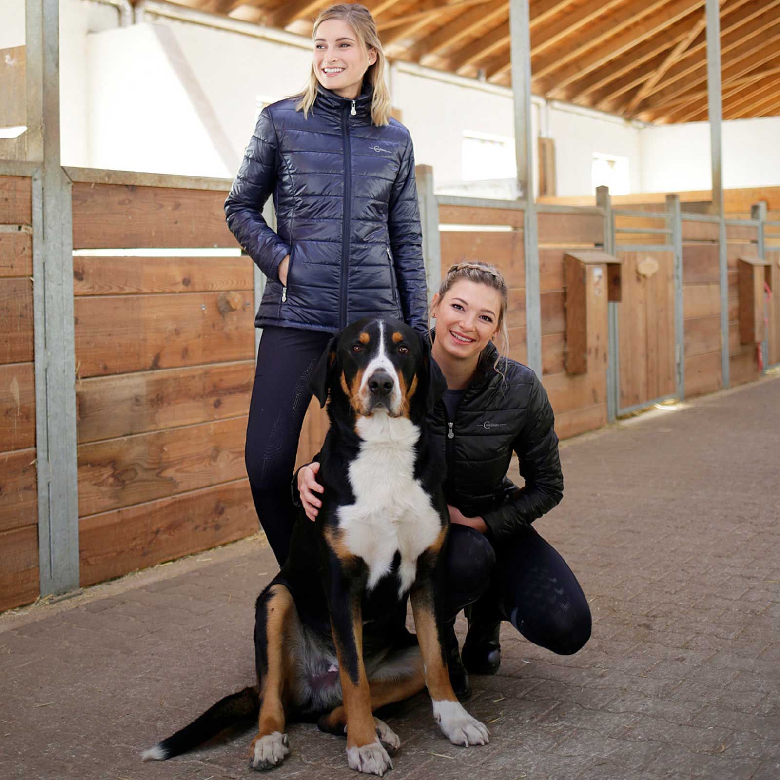 Covalliero Reitjacke, Freizeit Steppjacke, im Einsatz