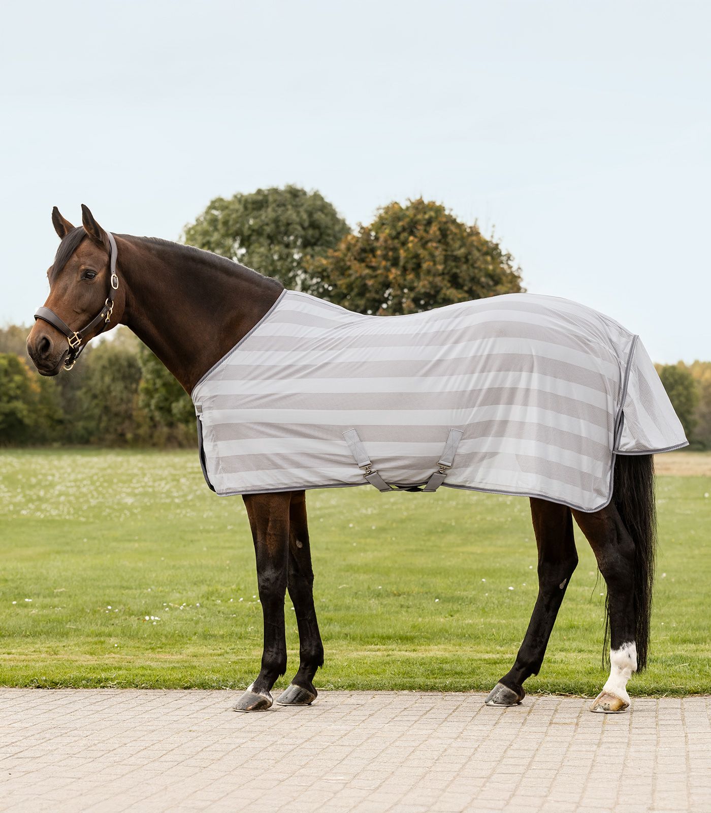 Waldhausen Economic Légytakaró kereszthevederrel, ezüstszürke/szürke, 105 cm