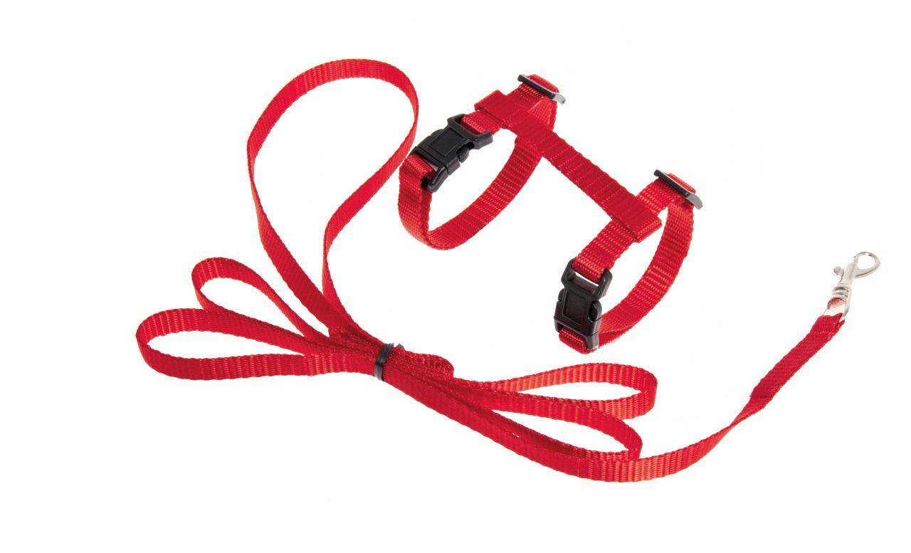 Karlie Garniture chaton Art Sportiv harnais et laisse rouge