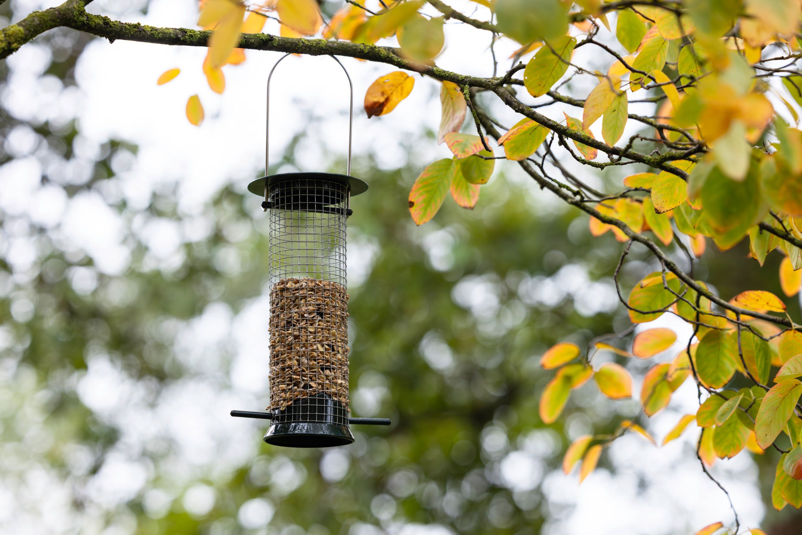 Vogelfutterspender, hängender Futterspender, Maschendraht, Metall, Erdnüsse