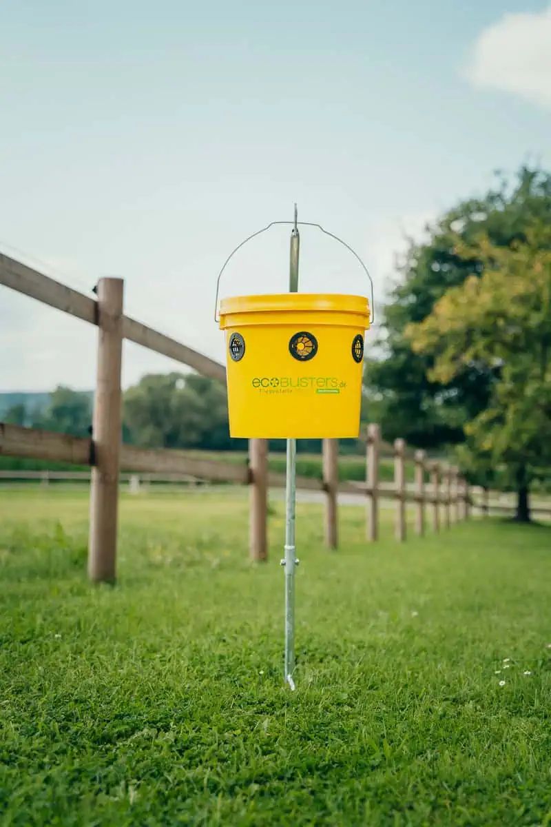EcoBusters Flugfälla Willow Set inkl. lockmedel, i användning, på hagen