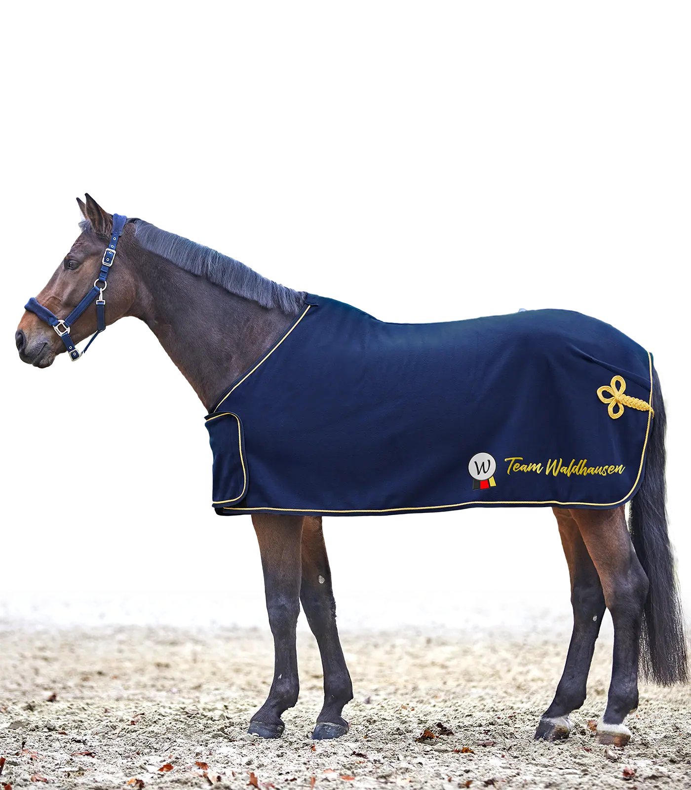 Waldhausen Fleece- und Sponsordecke, weiche Paradedecke mit Logofläche, 155 cm, blau/gold