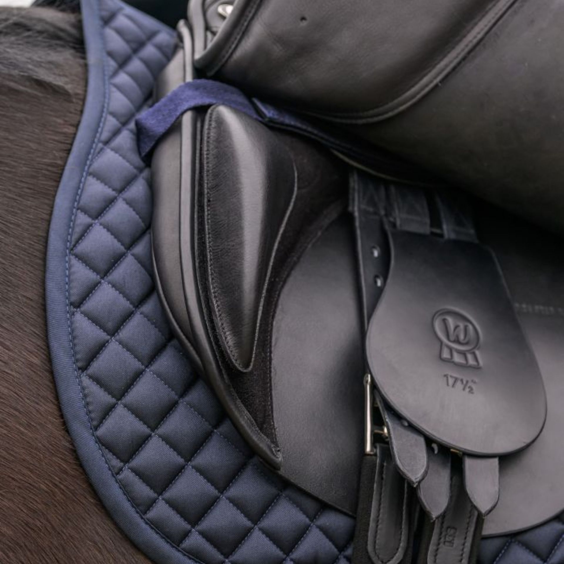 Sattel, Steigbügel, Leder, Schwarz, Reitsport
