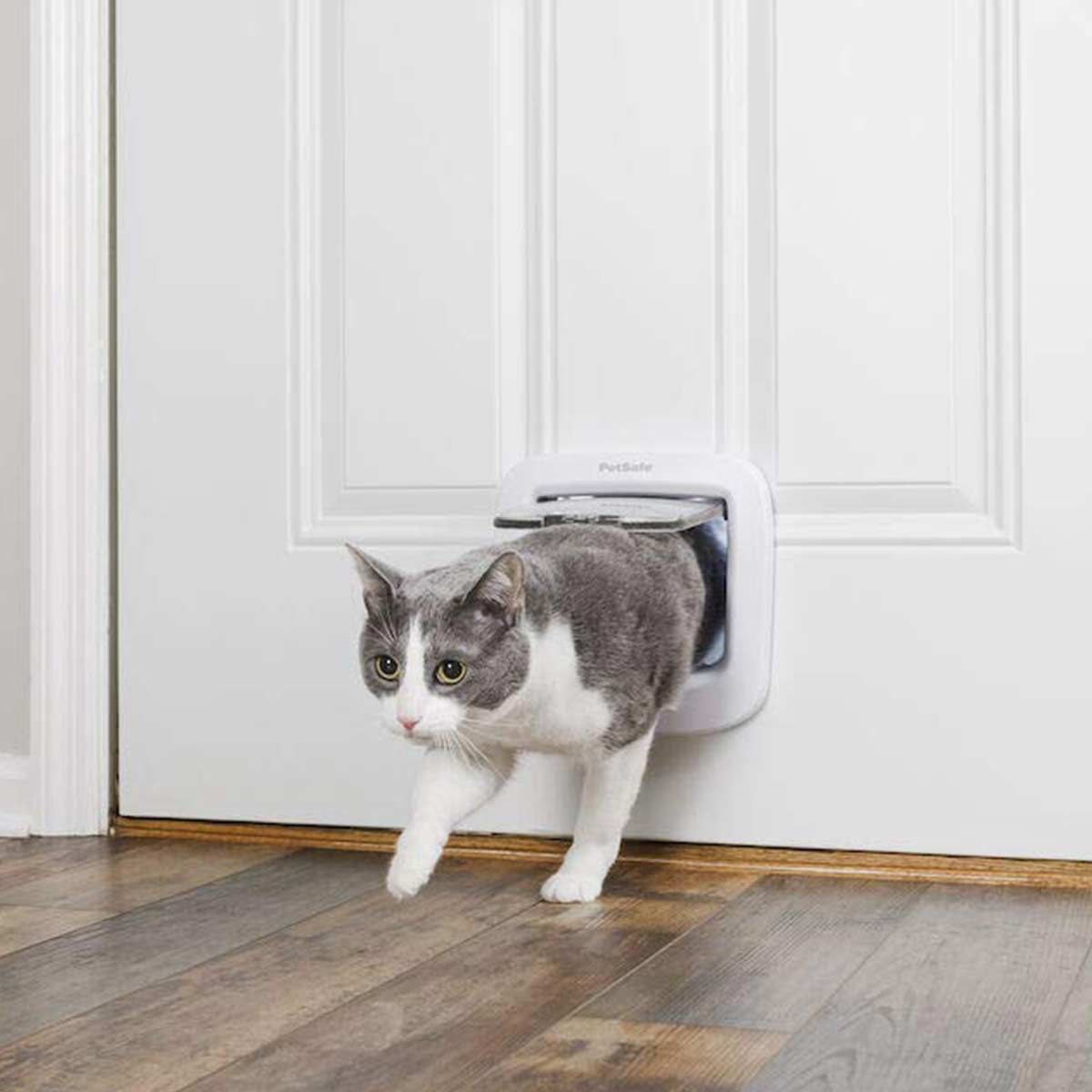 PetSafe Katzenklappe 4-Wege Staywell, weiß, für Katzen bis 8 kg, im Einsatz