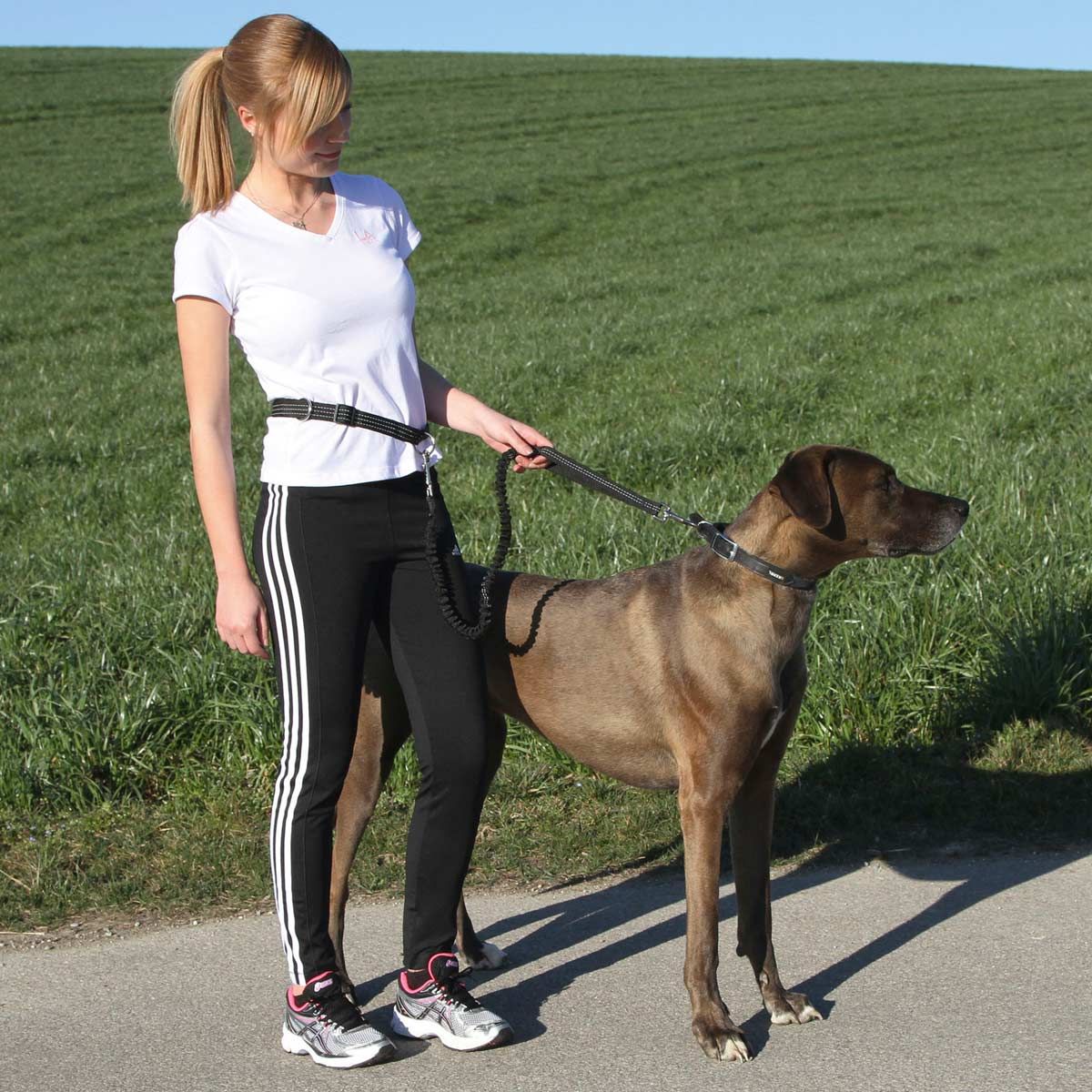 Kerbl Aktivt Joggingkoppel för Hund med Justerbart Midjebälte, i användning
