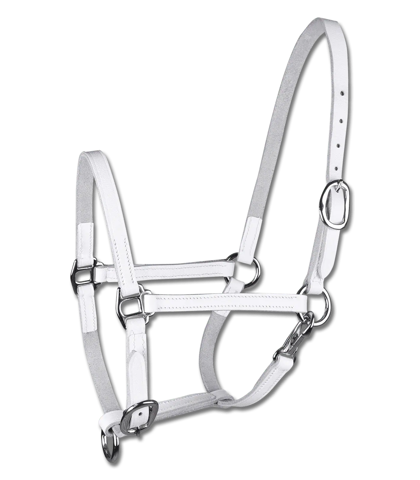 STAR Fohlenvorführhalfter, Leder – feines Halfter mit Karabiner, weiß Vollblut