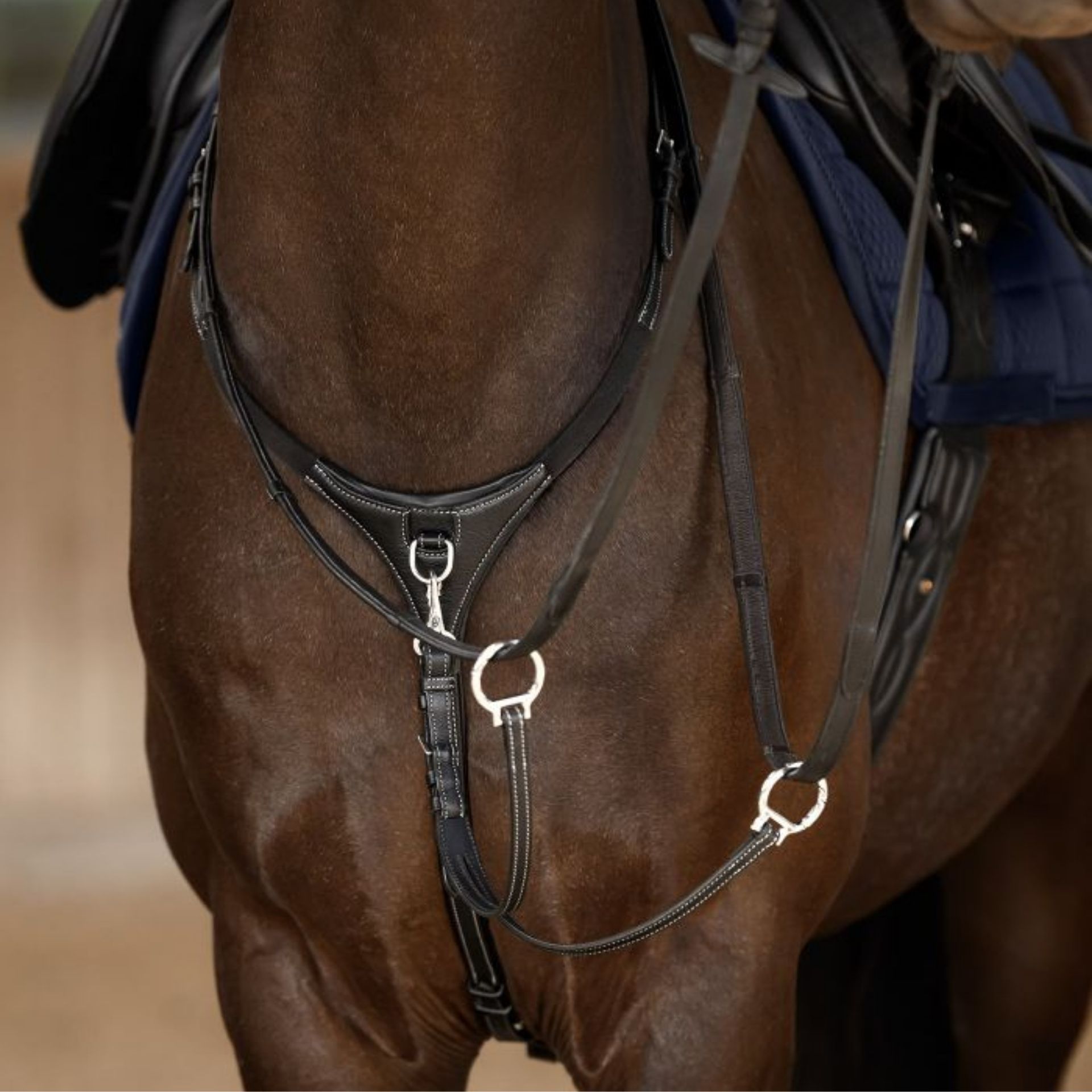 pferd, sattel, zügel, steigbügel, tack
