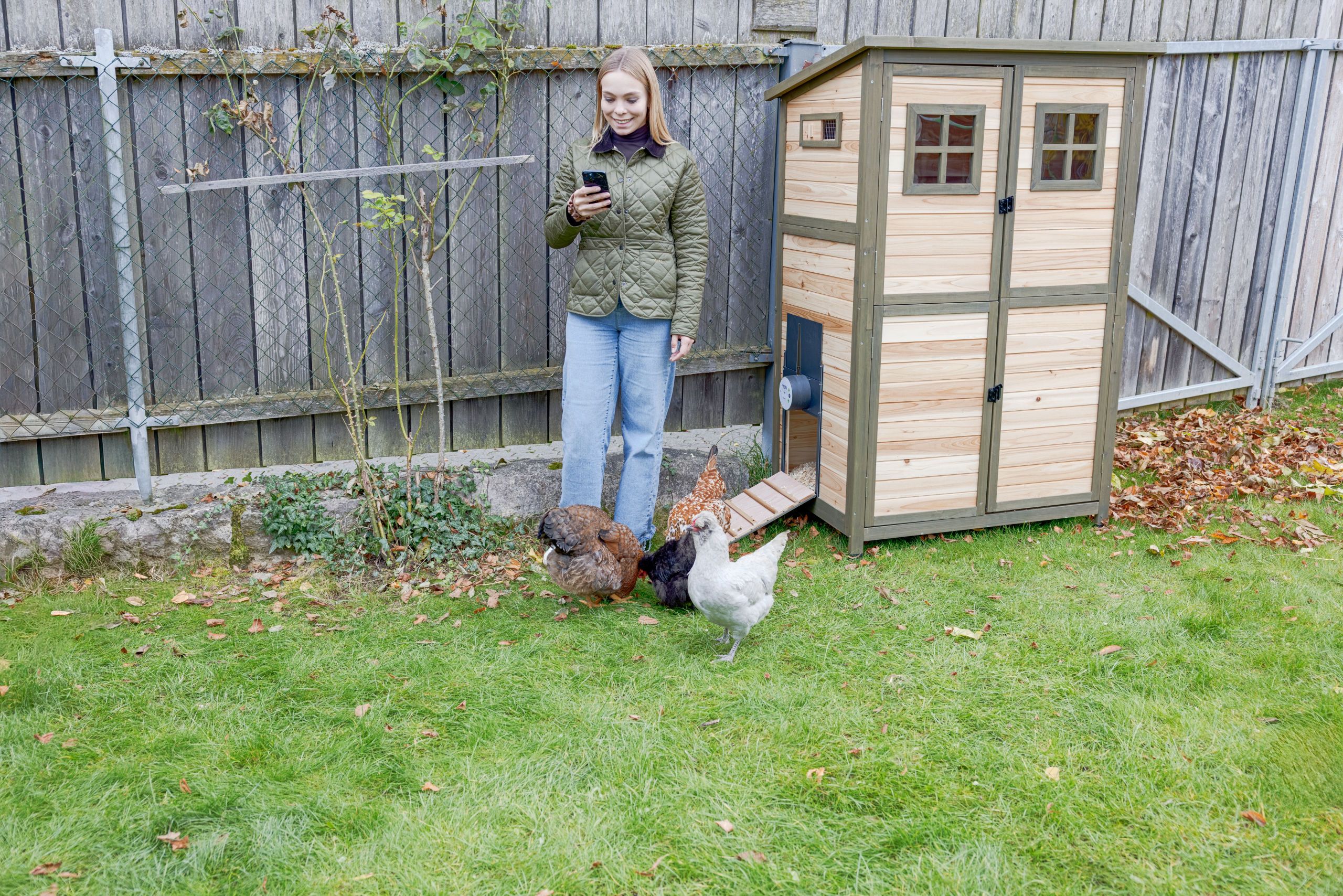 Garten, Hühner, Hühnerstall, Holz, Frau