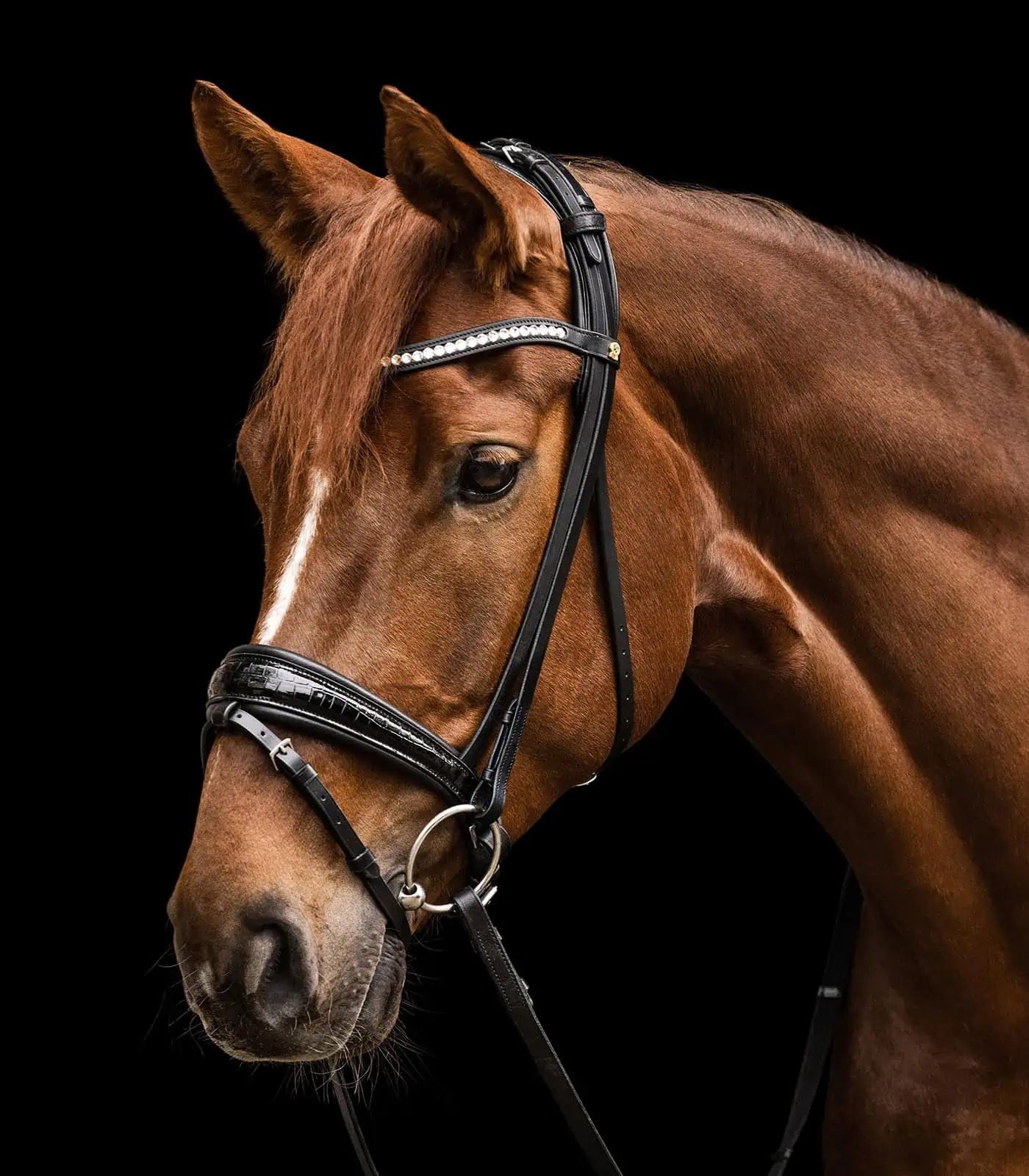 Bridon Waldhausen S-Line Magic, muserolle suédoise, cuir, Cheval