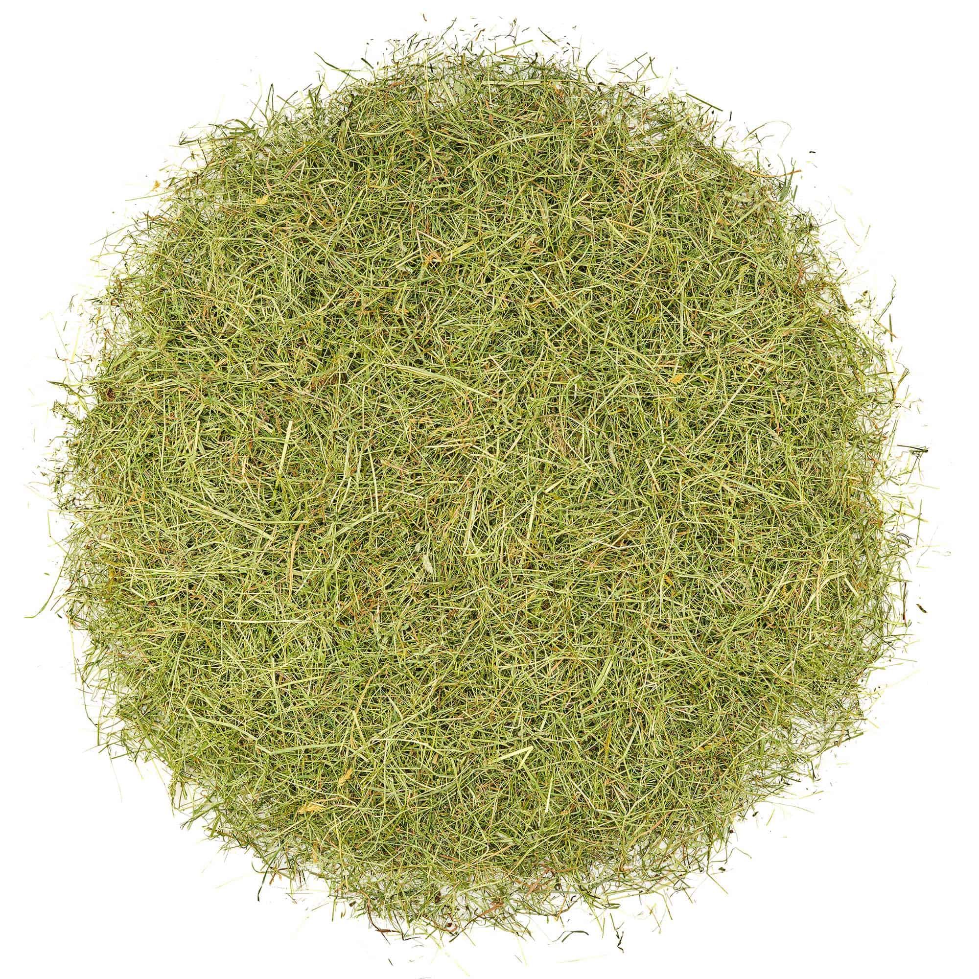 dried grass, hay, green herb, turf, forage