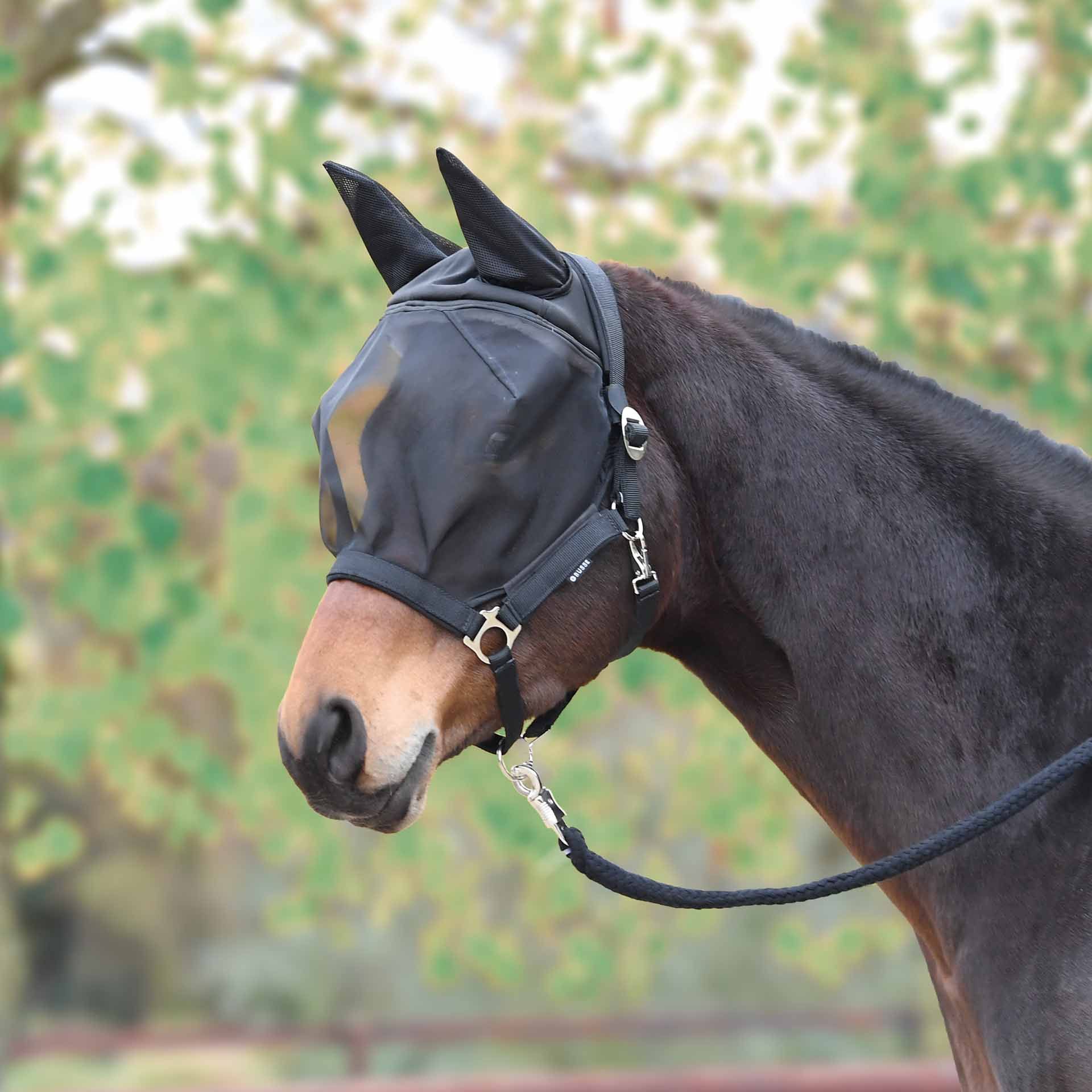 Licol anti-mouches BUSSE FAST, protection yeux et oreilles, en utilisation