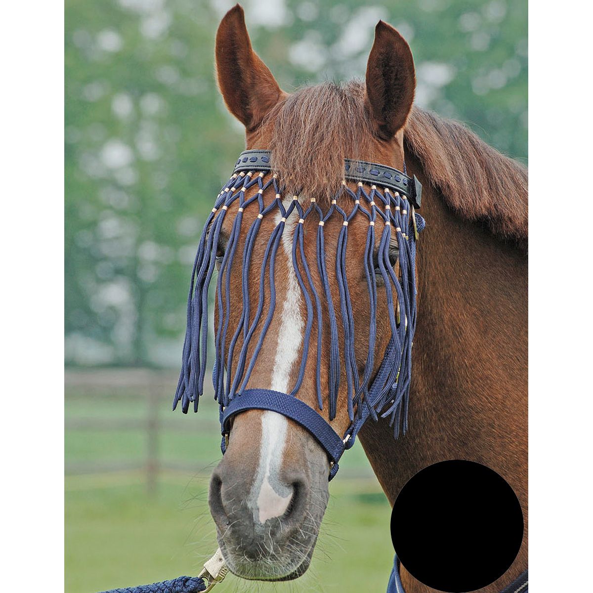 BUSSE Frontal à franges anti-mouches EXCLUSIF, cuir et franges nylon, noir Pony