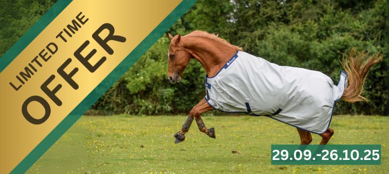 Horse Blankets - Saleweeks