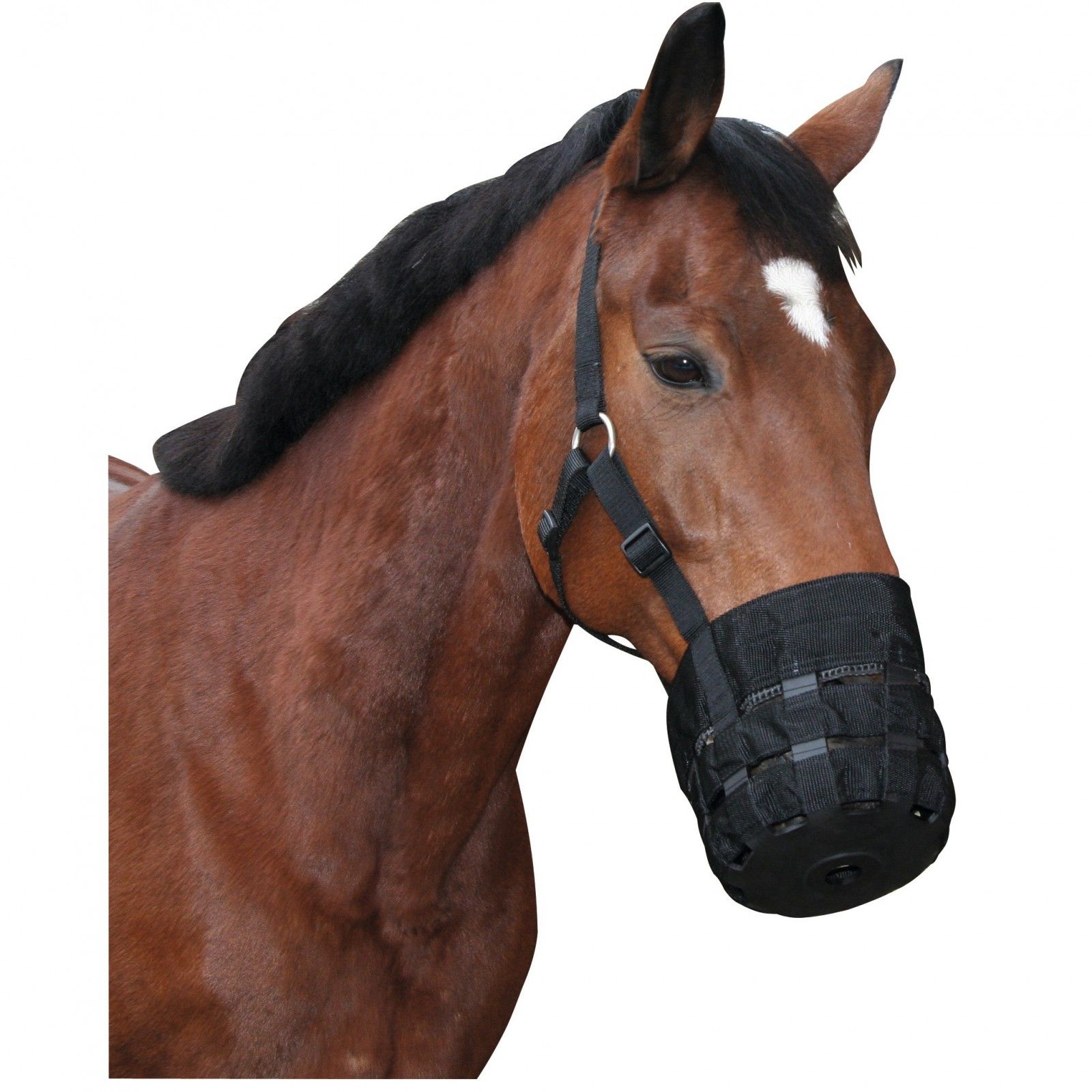 Covalliero Fressbremse Pferd mit Halfter, Maulkorb Nylon, Full