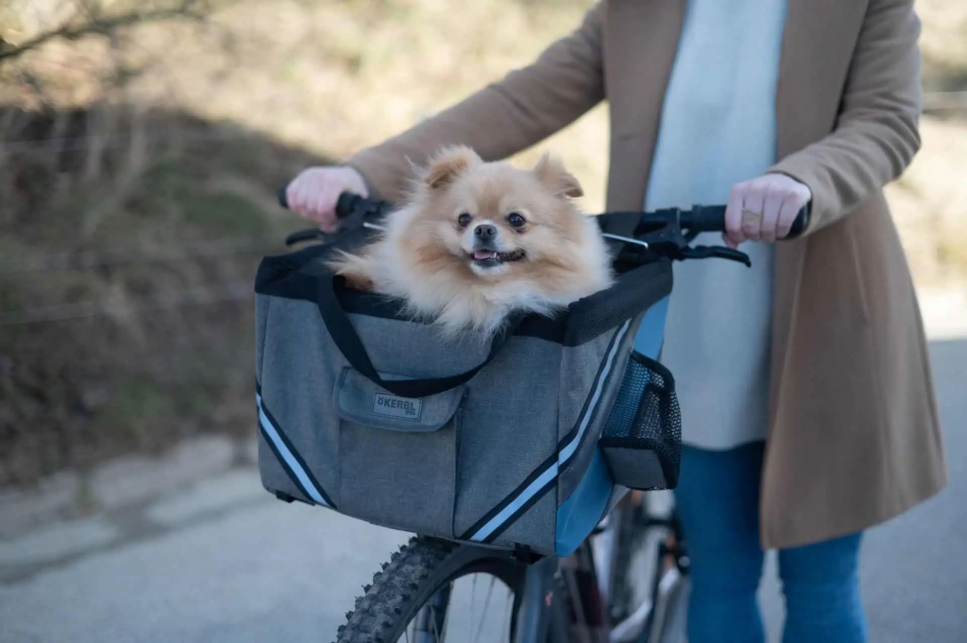 Kerbl Borsa da bici Vacation per cani grigio/blu, 38 x 29 x 25 cm, in uso
