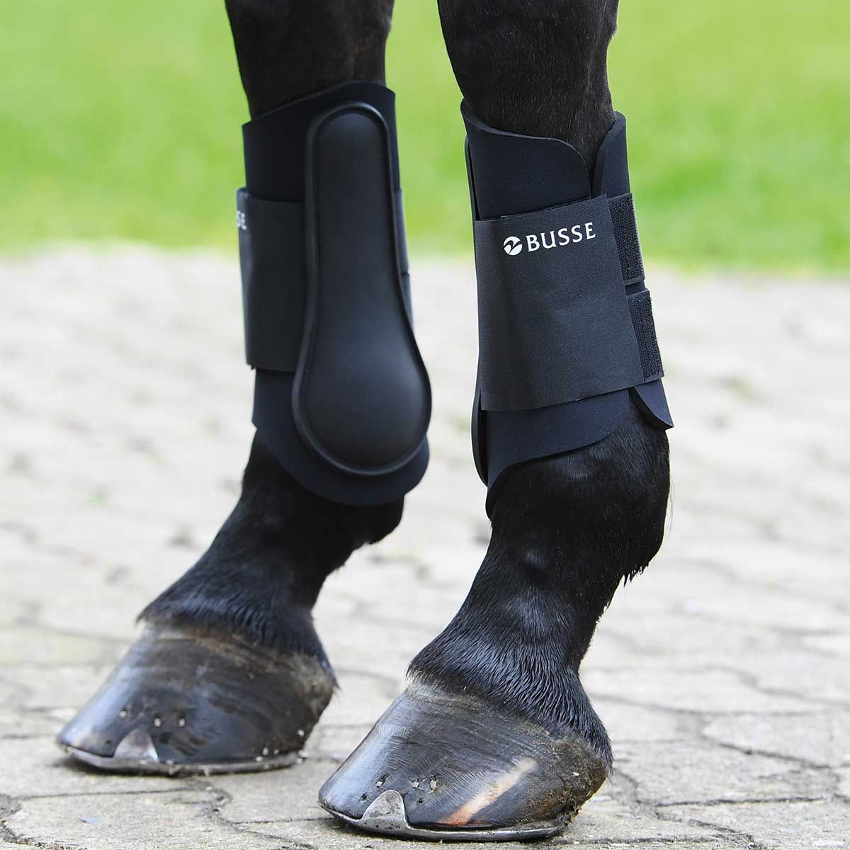 BUSSE Guêtres ACTIVE-PRO, protection anti-choc pour chevaux, XL, noir