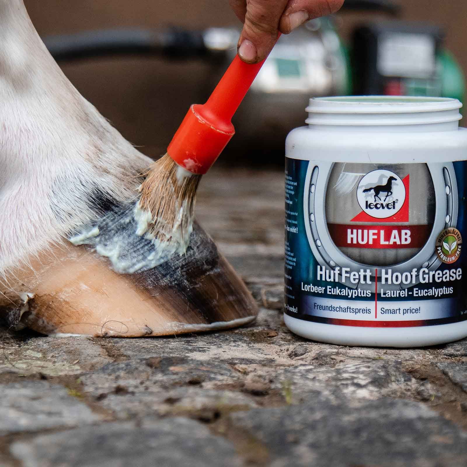 leovet HUFLAB hovfett lager-eukalyptus 750 ml häst, i användning