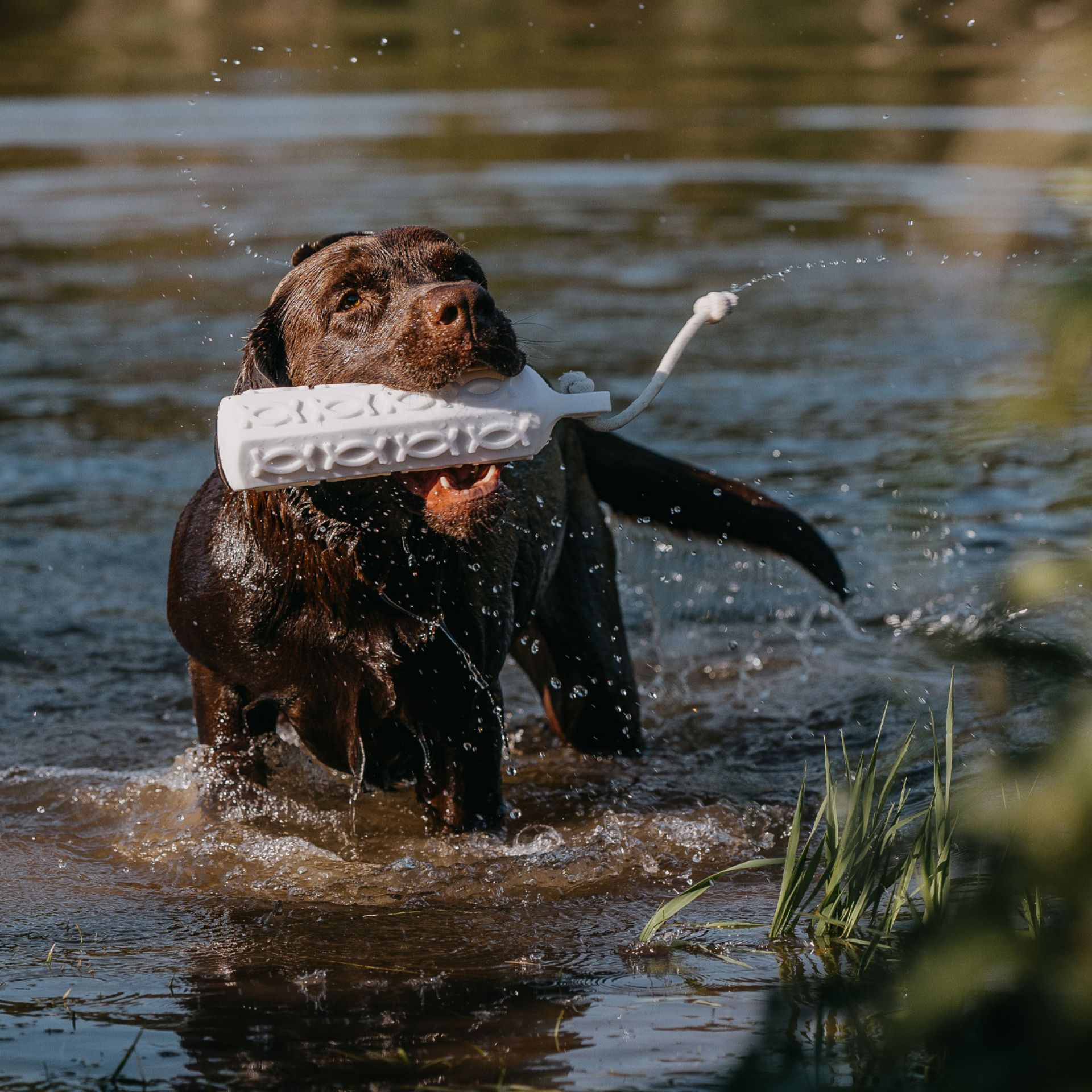 HP&G Training Tool Bumper 380g Vit