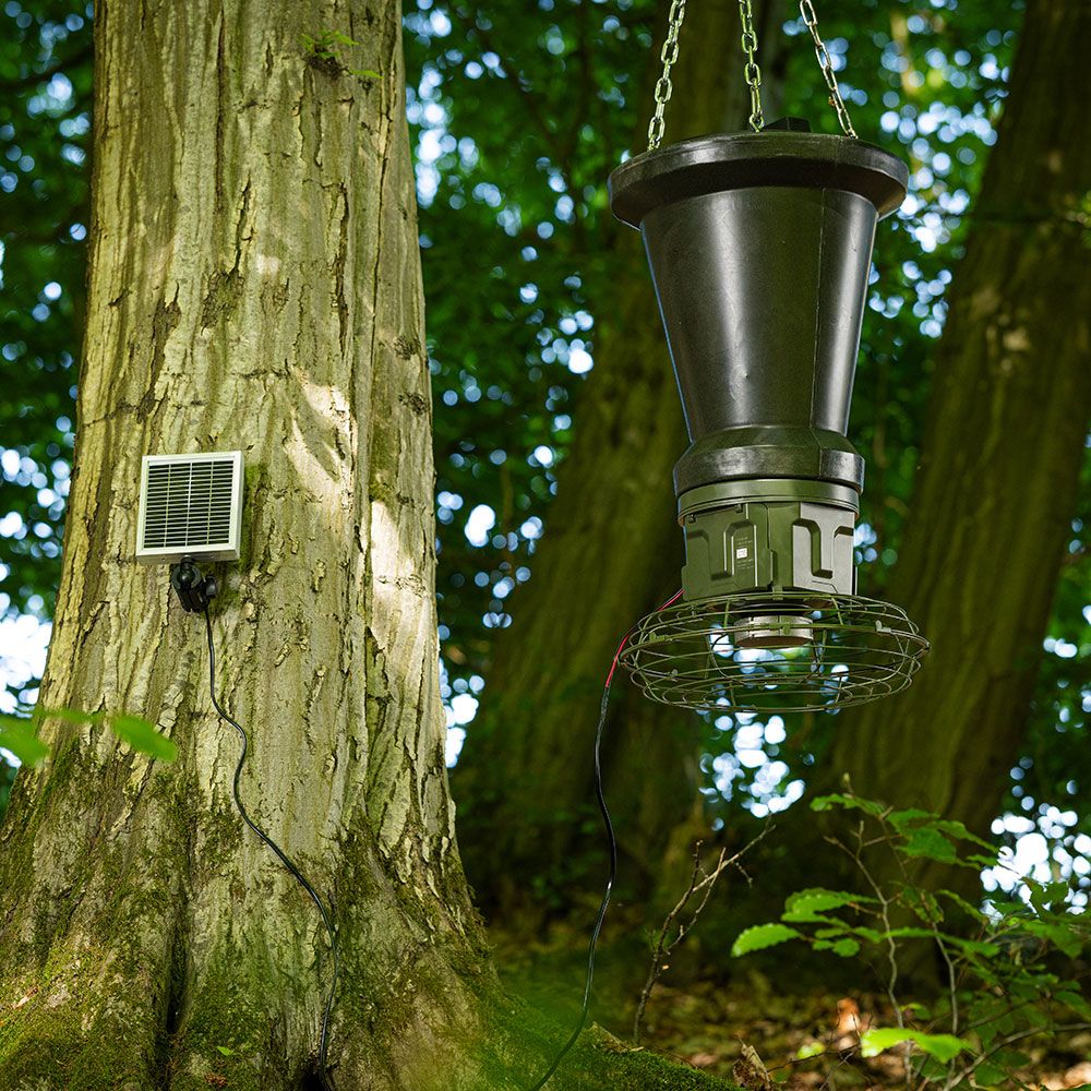Eurohunt Evolution 2.0 game feeder 12 V, on a tree trunk in the forest