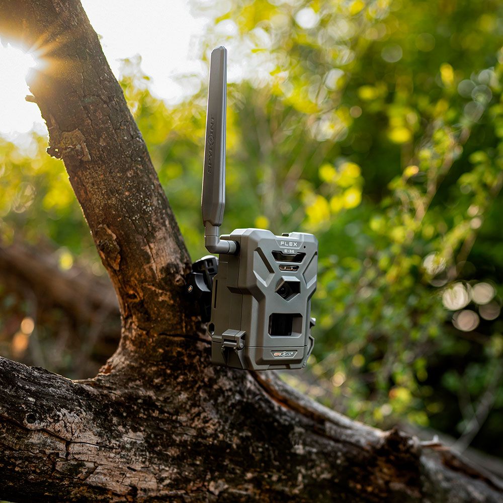 SPYPOINT FLEX E-36 trail camera on a tree in the hunting ground