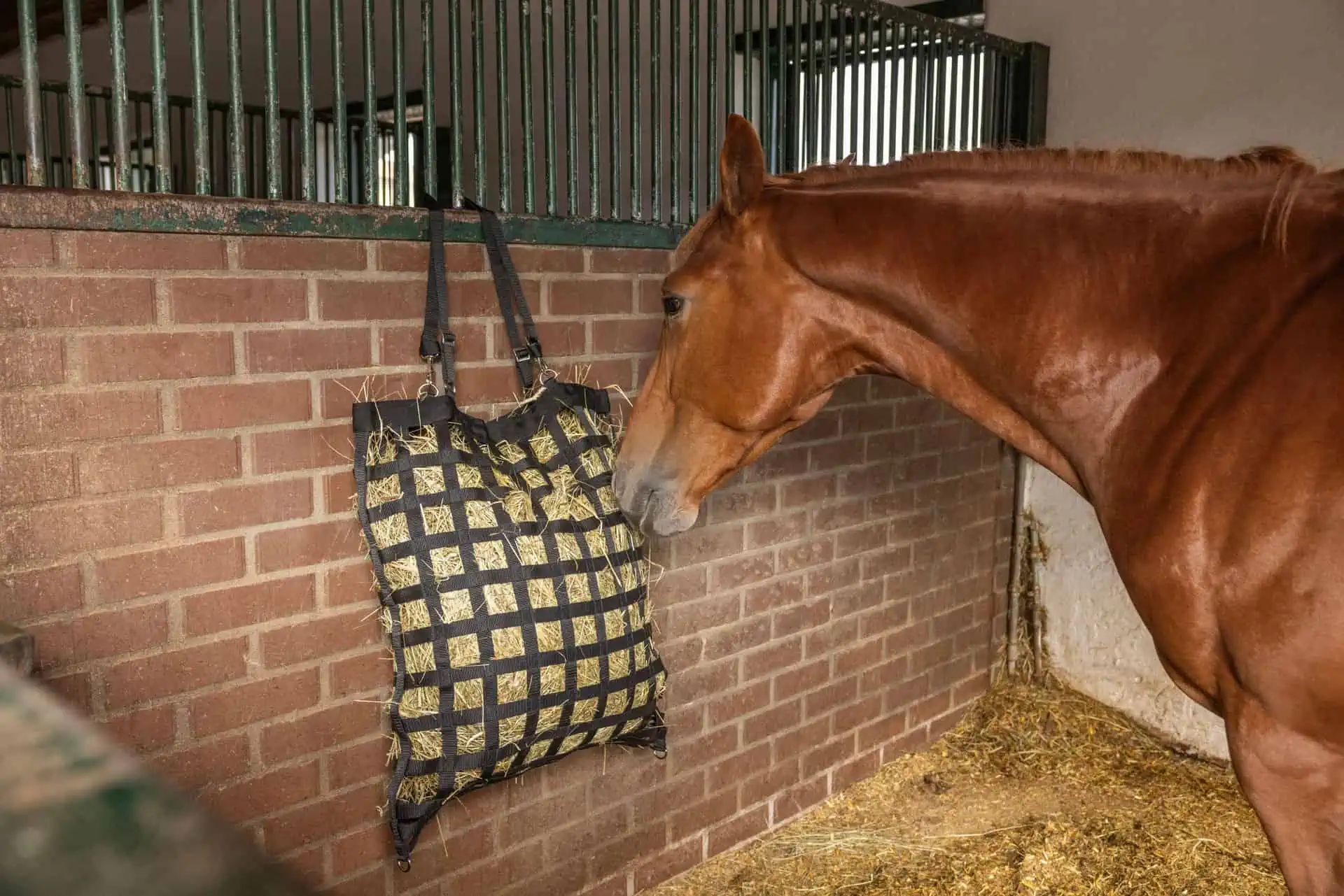 Covalliero Sac à foin pour chevaux 68 x 55 x 18 cm, en utilisation