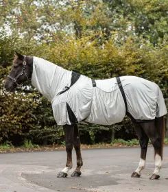 Dunkles Pferd steht auf gepflastertem Hof, trägt hellgraue Fliegendecke mit Kopfteil und schwarzen Gurten