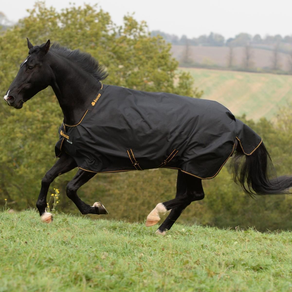 Couverture de cheval Bucas Irish Turnout Light 50g 115