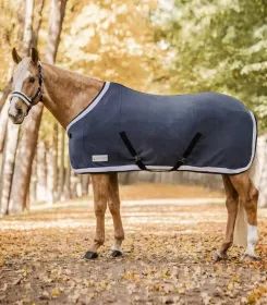 Hellbraunes Pferd mit dunkler Fleecedecke steht auf einem herbstlichen Waldweg