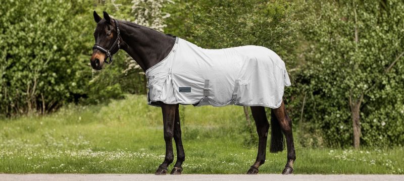 Waldhausen Horse Rugs