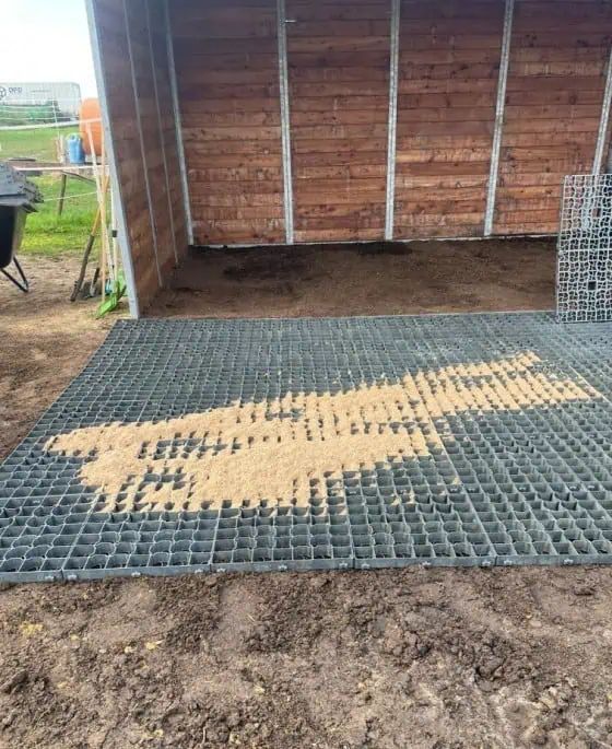 EkoGrid EG40 Griglia per paddock e maneggio 50 x 50 x 4 cm, in uso, in scuderia