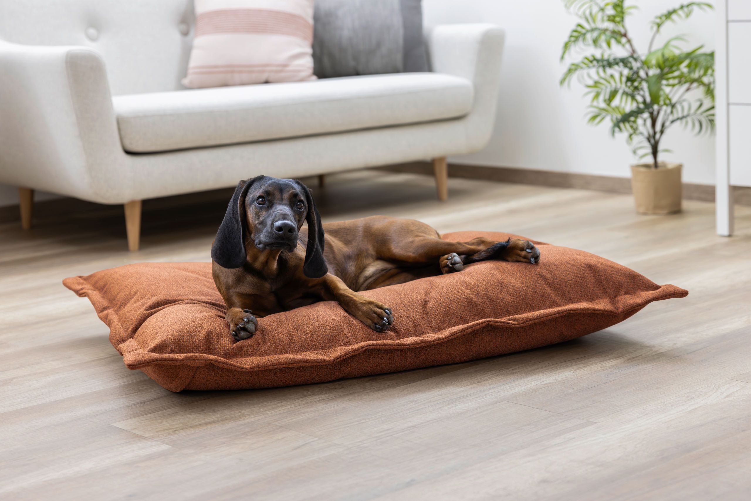 Kerbl Pet Dog Cuddle Sack Oliver, rust, durable upholstery fabric cover, in use