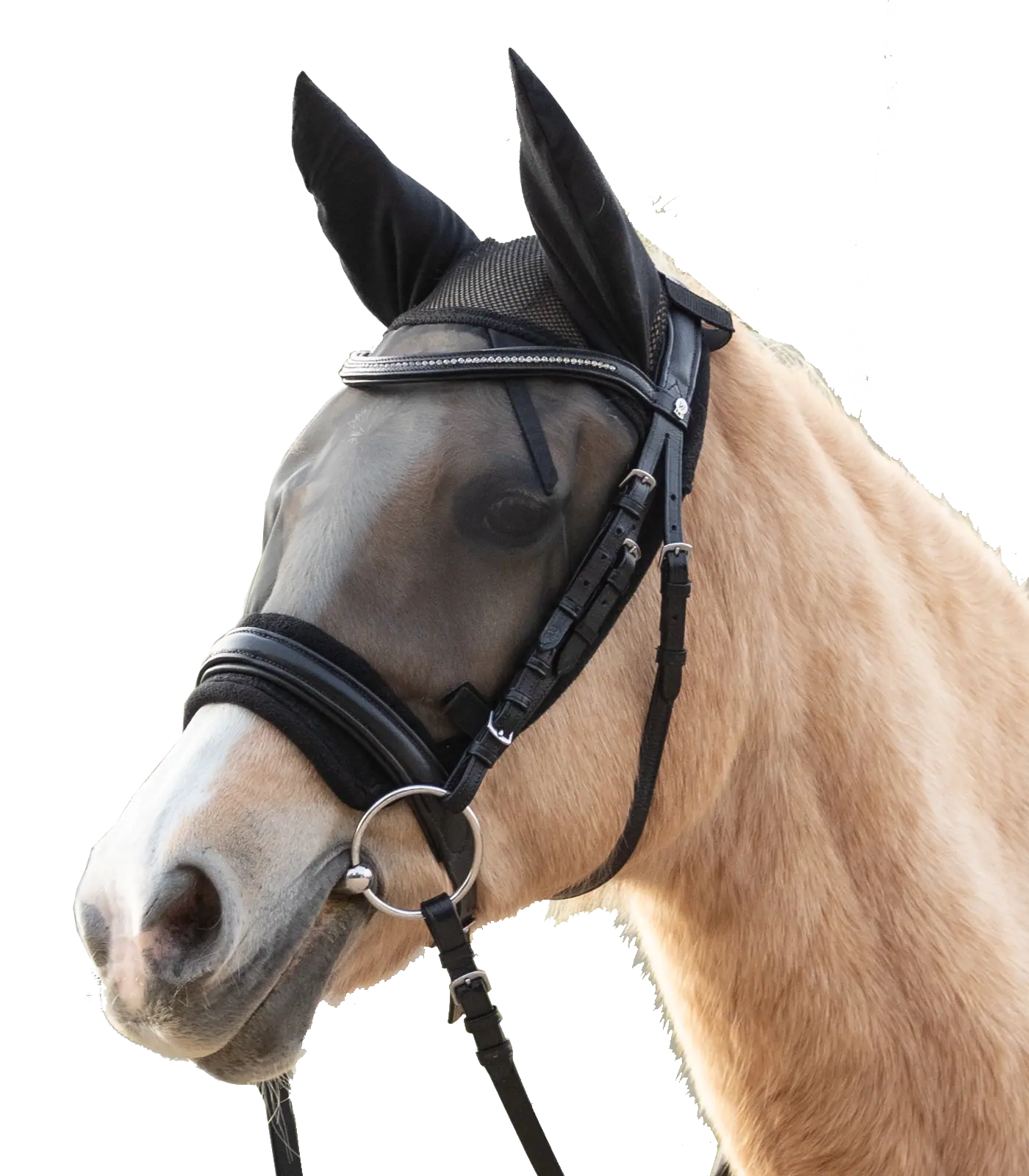 Masque anti-mouches Waldhausen Ride, protection insectes équitation, Cob