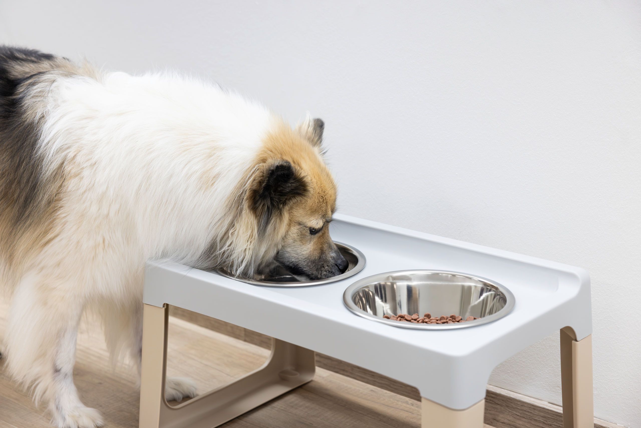 Kerbl Pet Lifter Hundenapf erhöht, 2 Edelstahlnäpfe, grau-taupe