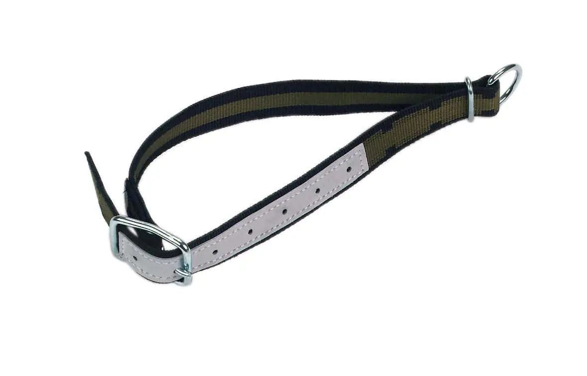 Halsband mit Ovalring und D-Ring 85 x 4 cm