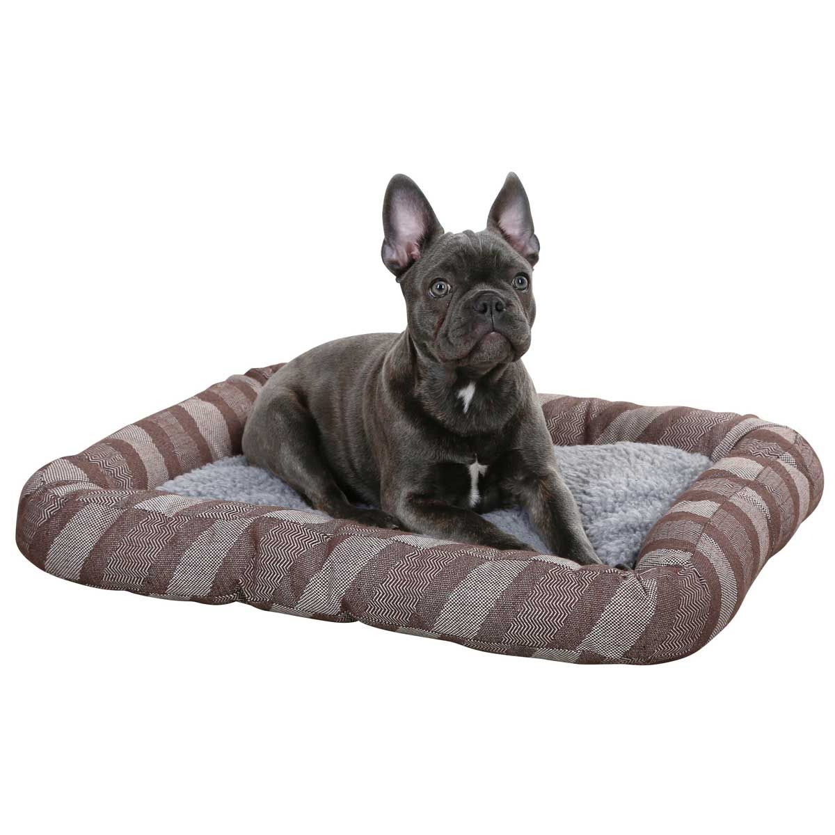Kerbl Pablo Cuccia cane autoriscaldante, grigia, peluche morbido, in uso