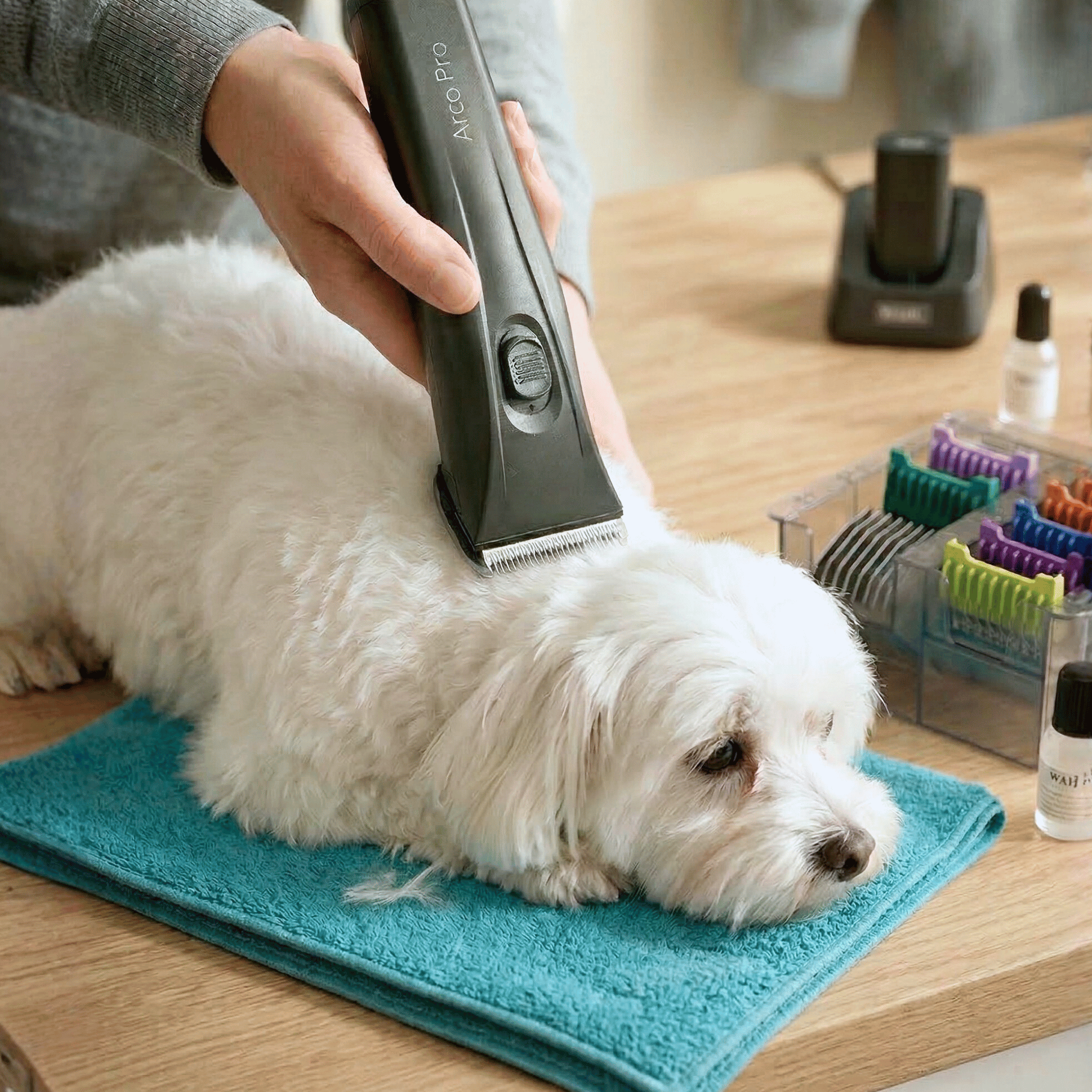 Wahl Arco Pro Schermaschine mit Aufsteckkamm-Set, Akku-Trimmer, im Einsatz