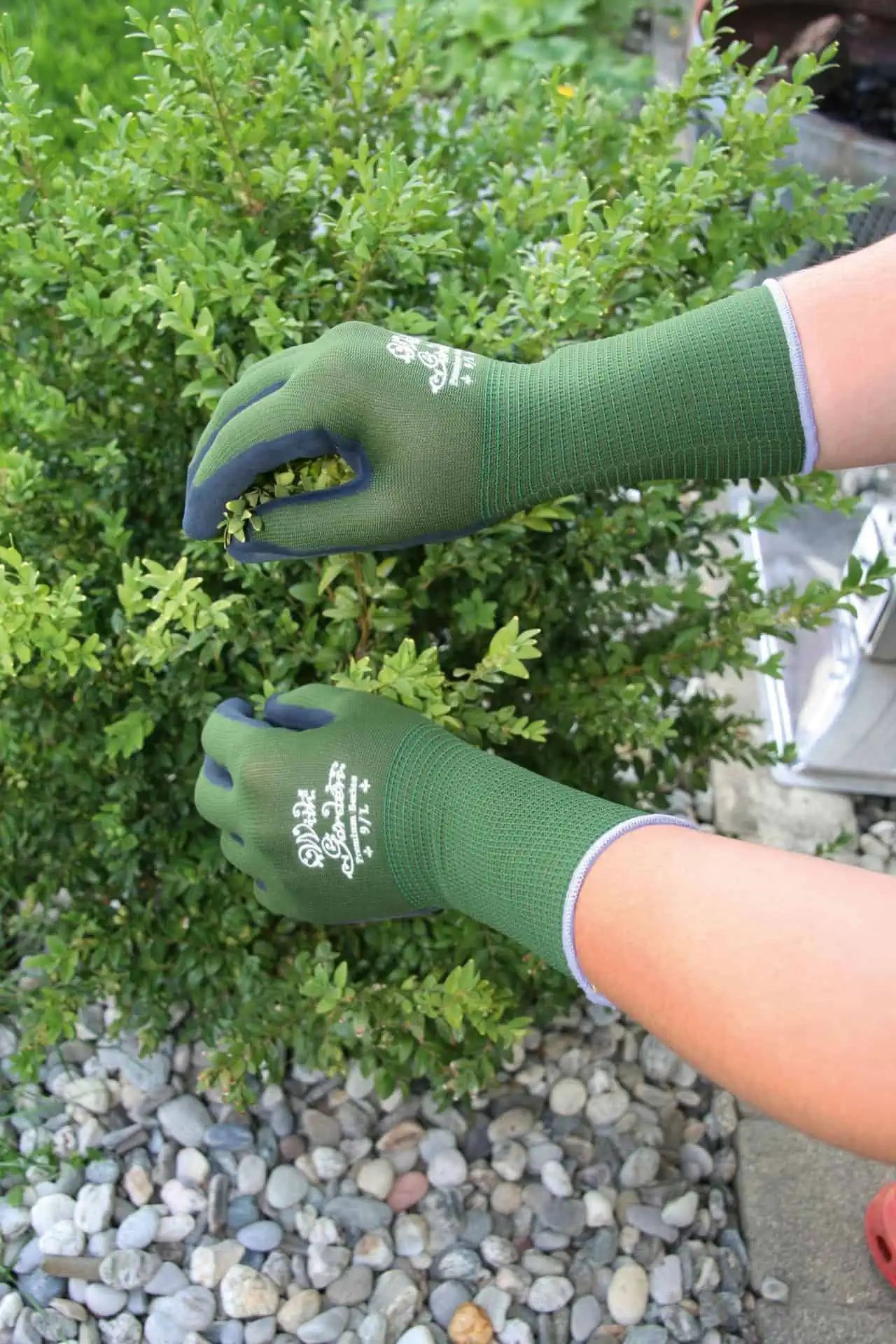 Gartenhandschuh WithGarden Premium Foresta Latexbeschichtung, Gr 9/L