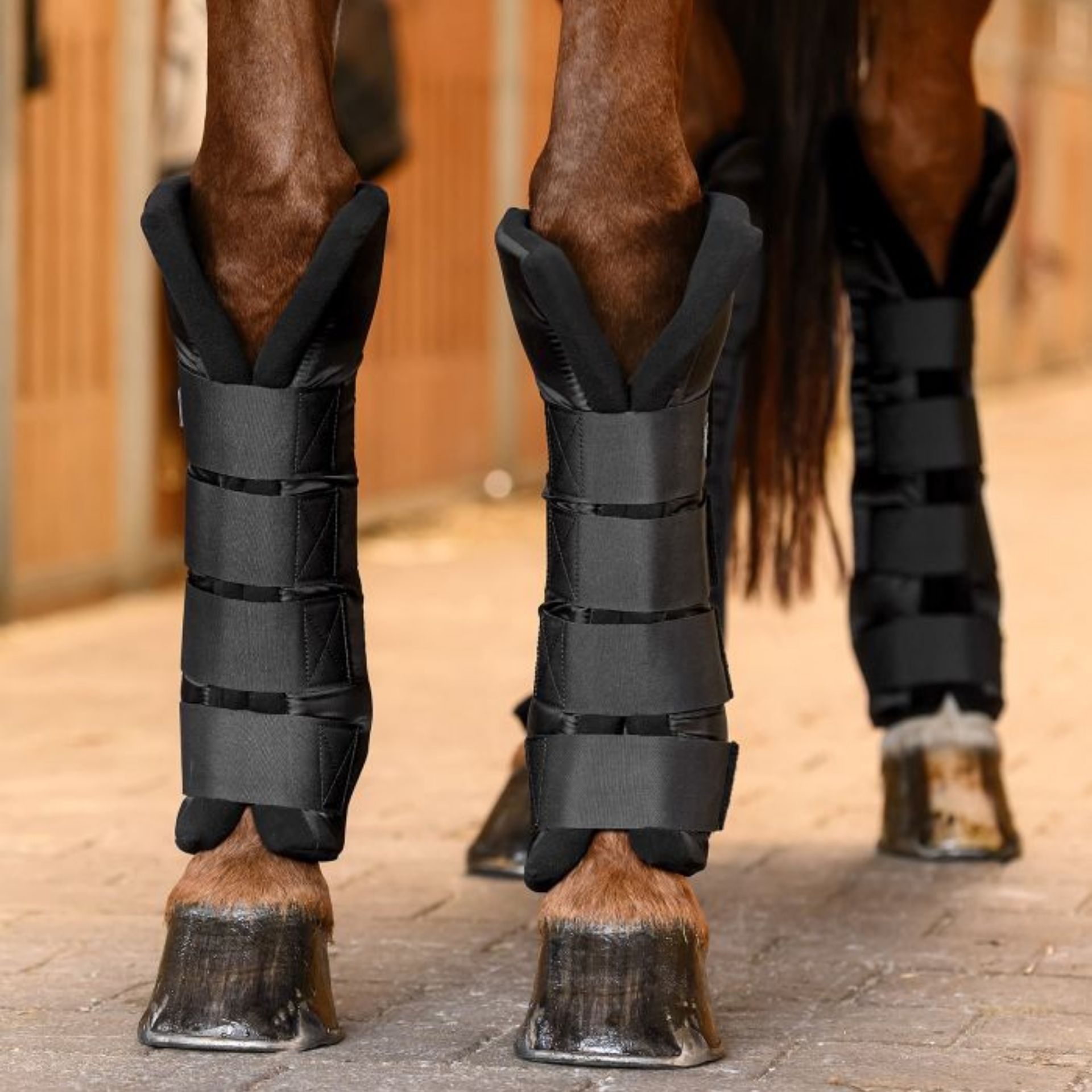 Waldhausen Stall- & Transportgamasche mit Gelenksupport, schwarz, Rückansicht