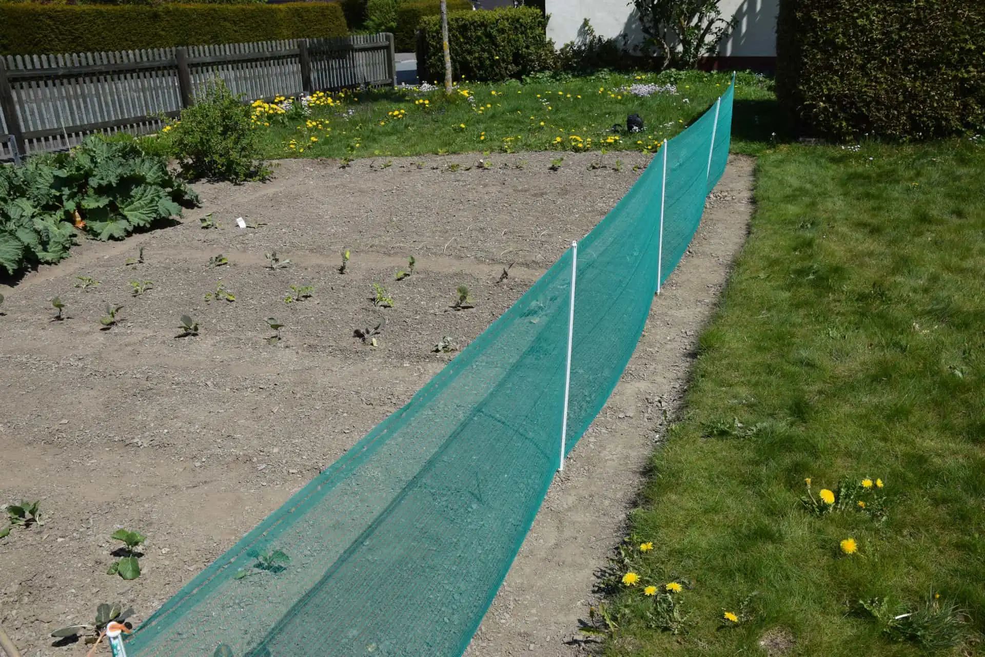 Kerbl univerzális kerítés zöld 80 cm x 20 m, üvegszálas oszlopokkal, használat közben, a legelőn