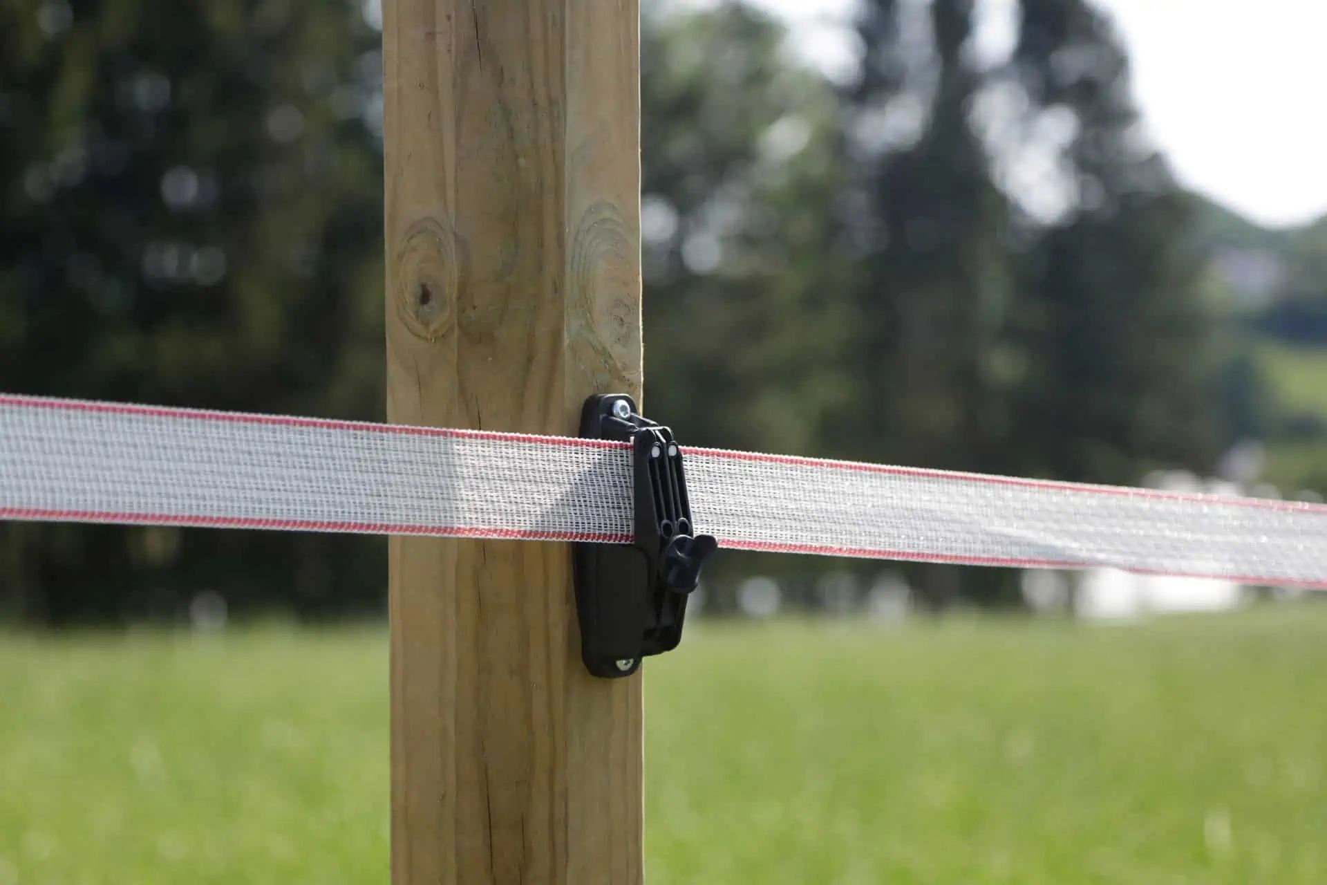 Izolator negru cu bandă de gard electric fixat pe stâlp de lemn