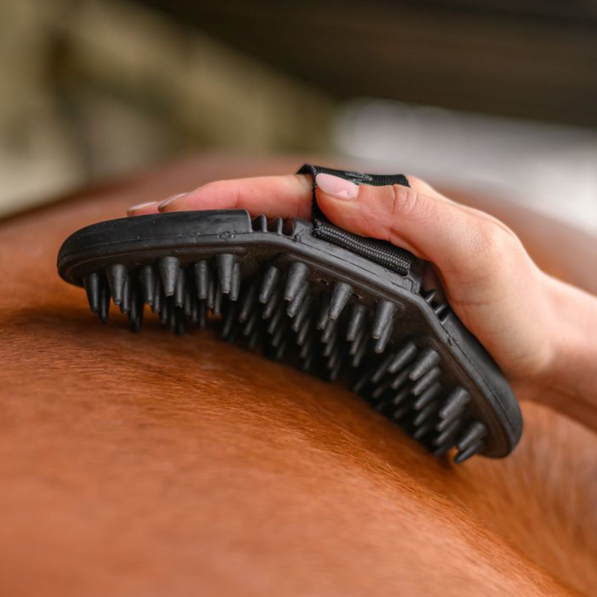 Waldhausen Flex Massageskrapa för hästar, mjuk pälsvård, detaljbild, tänder