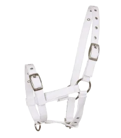 Pferdehalfter aus weissem Leder mit verstellbaren Metallschnallen